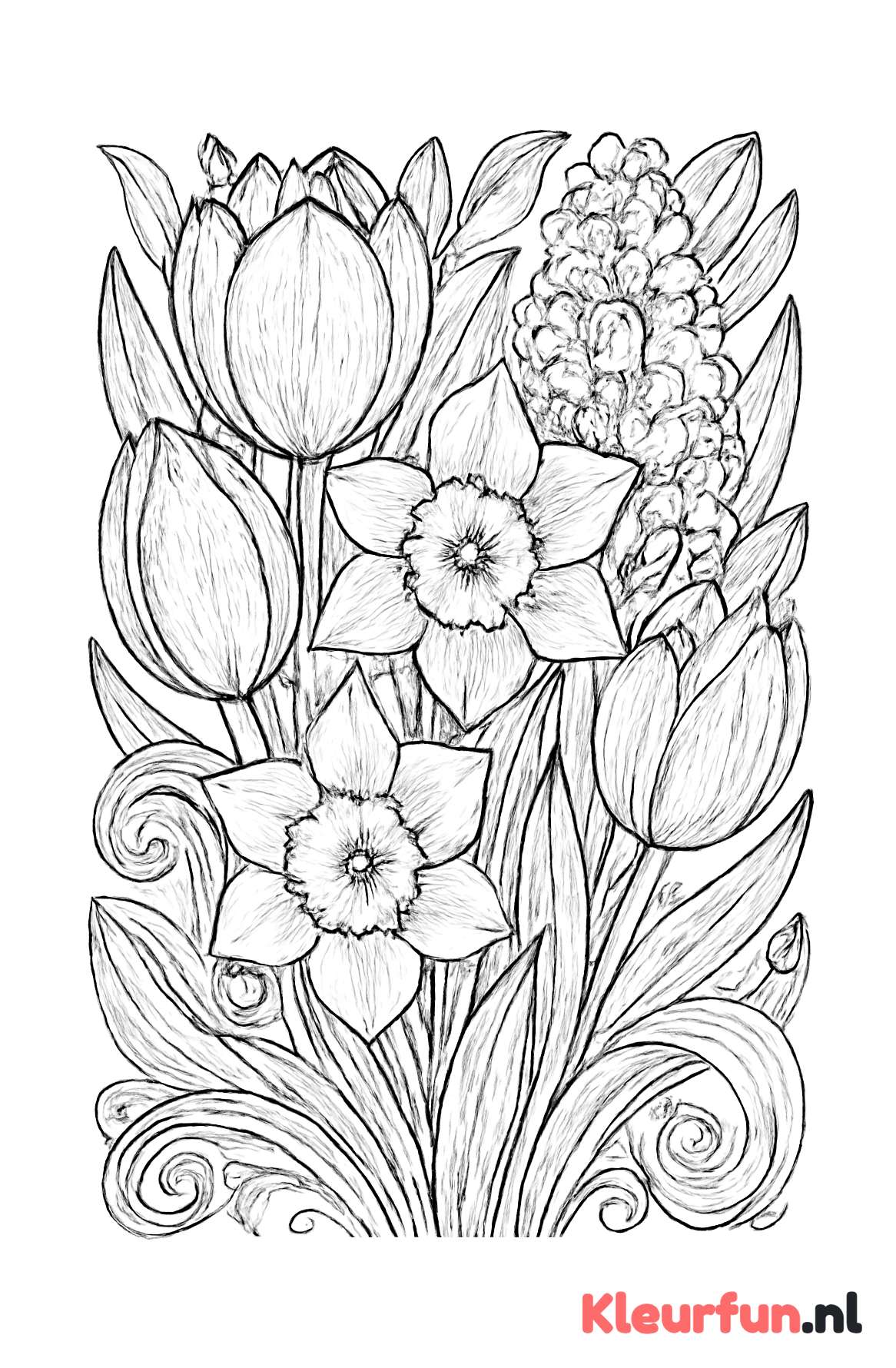 Close-up Bloembollen Details