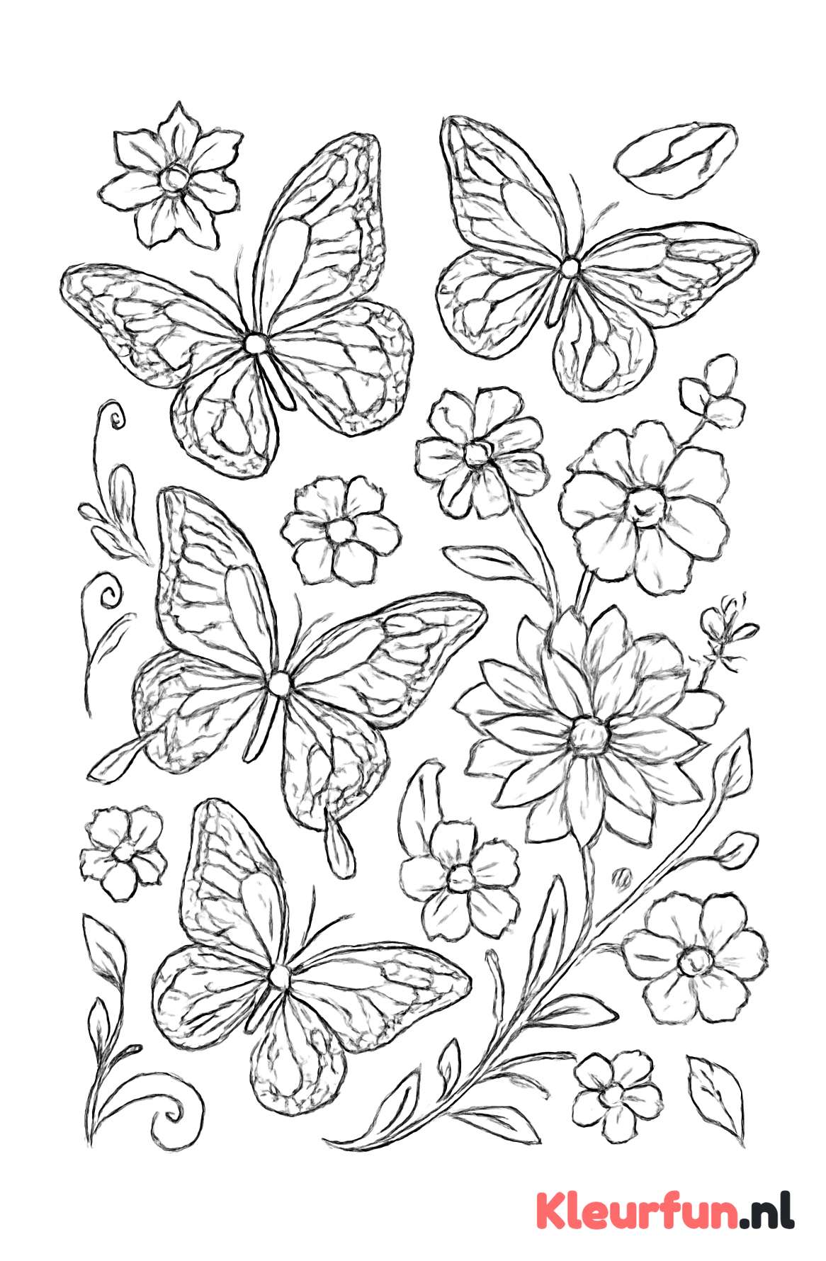 Bloemen en vlinders