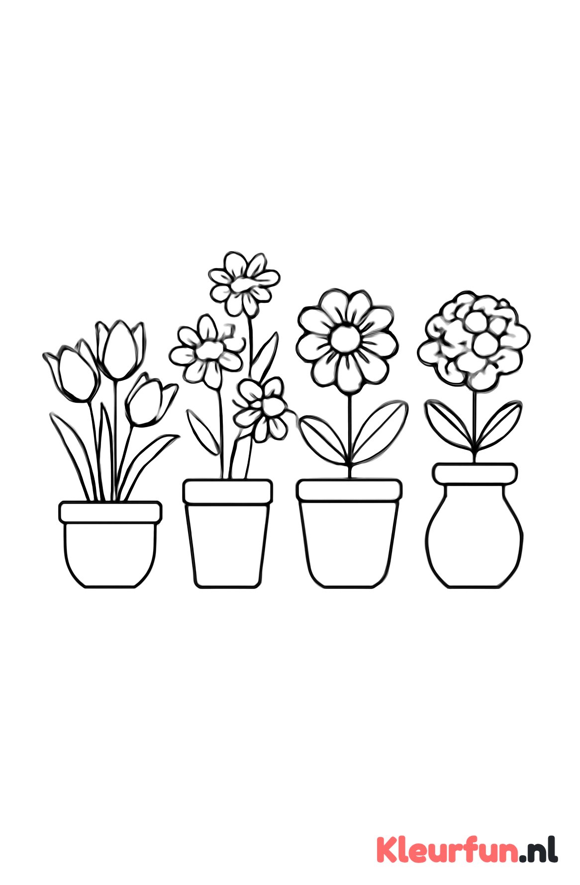 Bloemen in potten