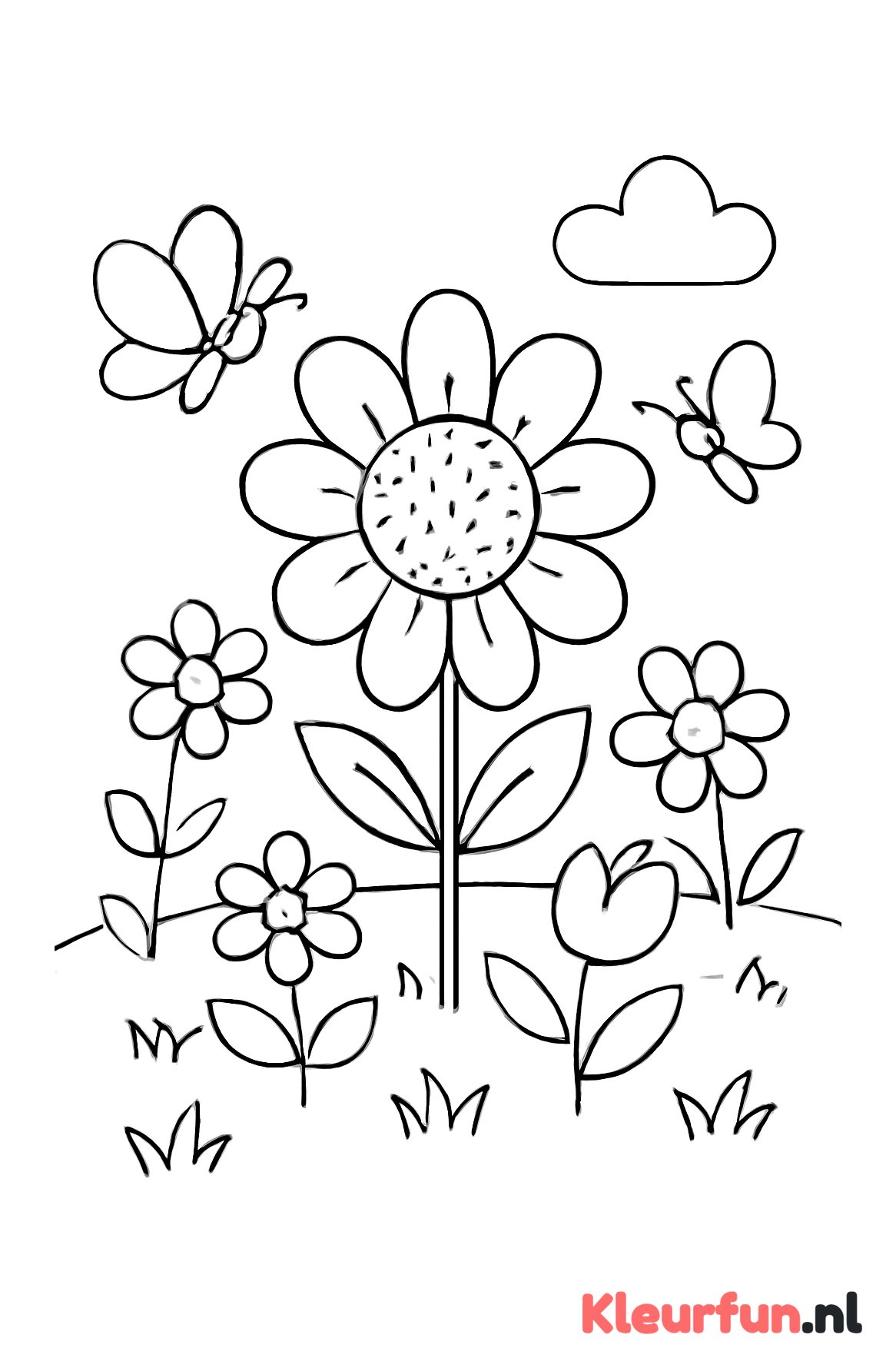 Bloemen in tuin met vlinders