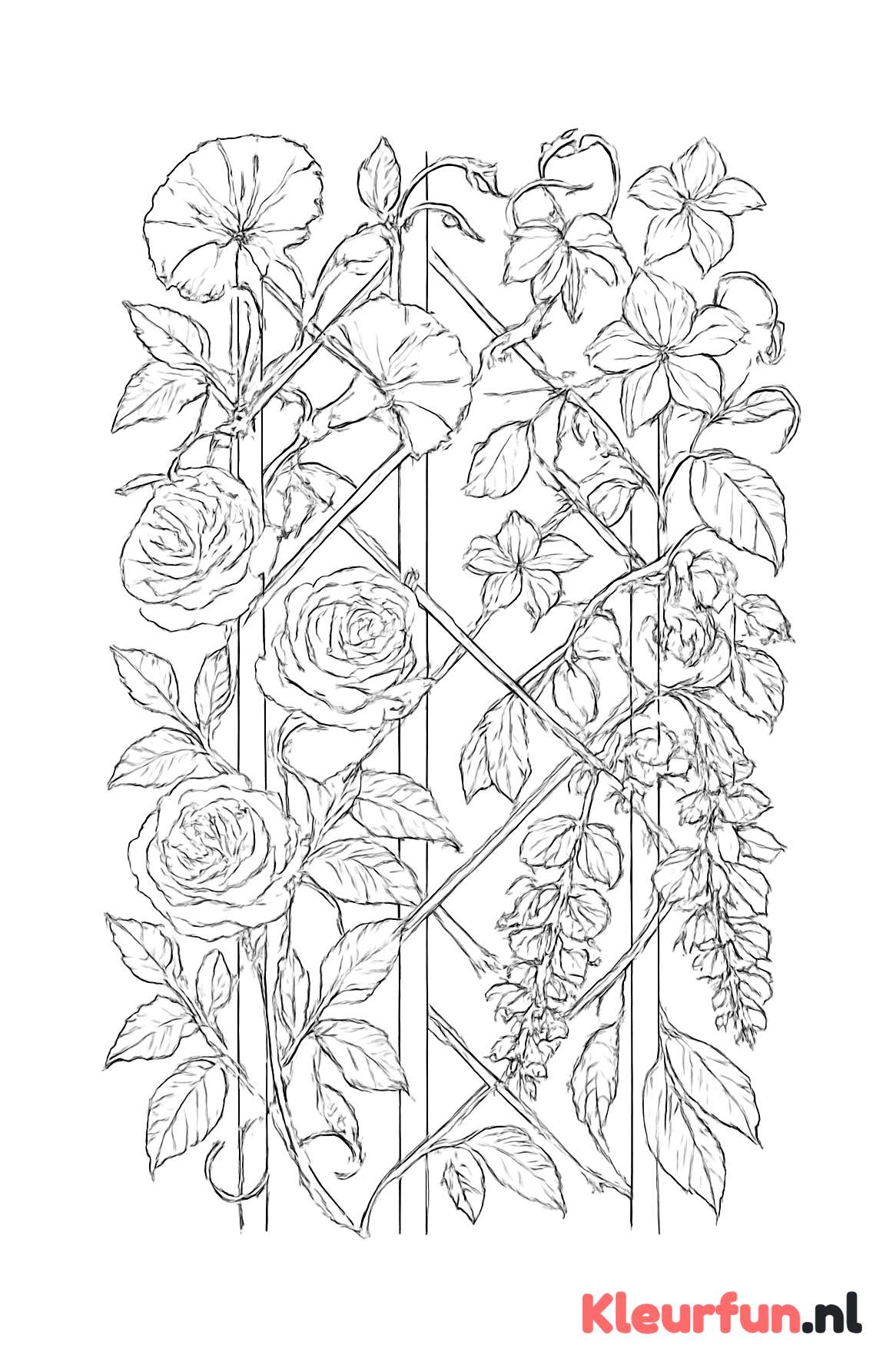 Klimplanten en bloemen rond hekwerk
