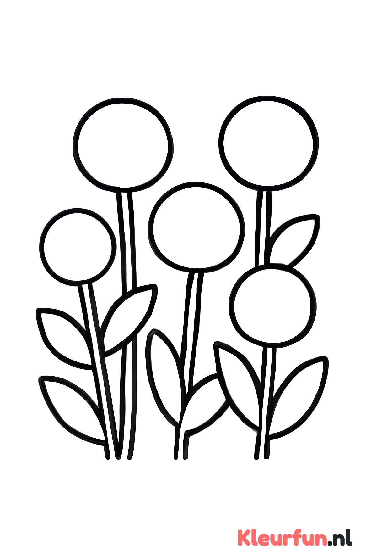 Bos bloemen met duidelijke bladeren en bloembollen
