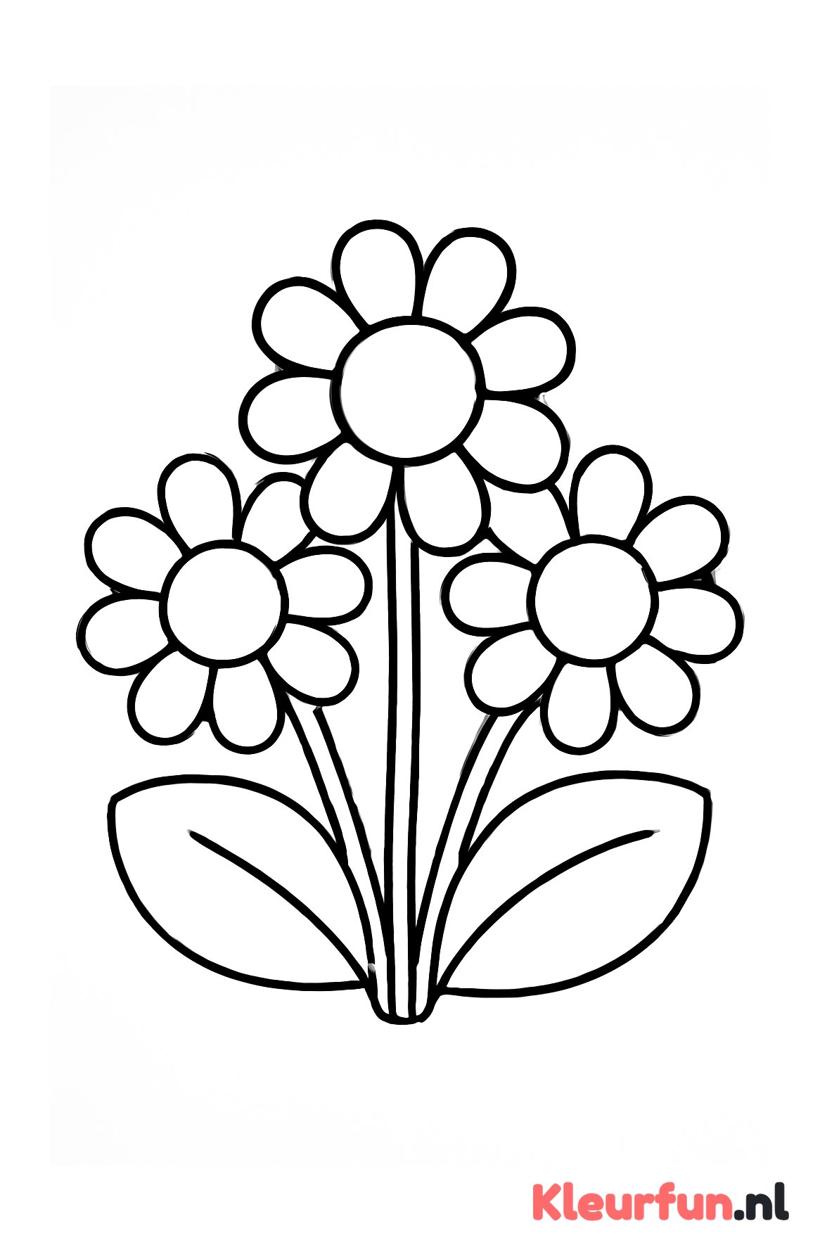 Bloemen met rond blad