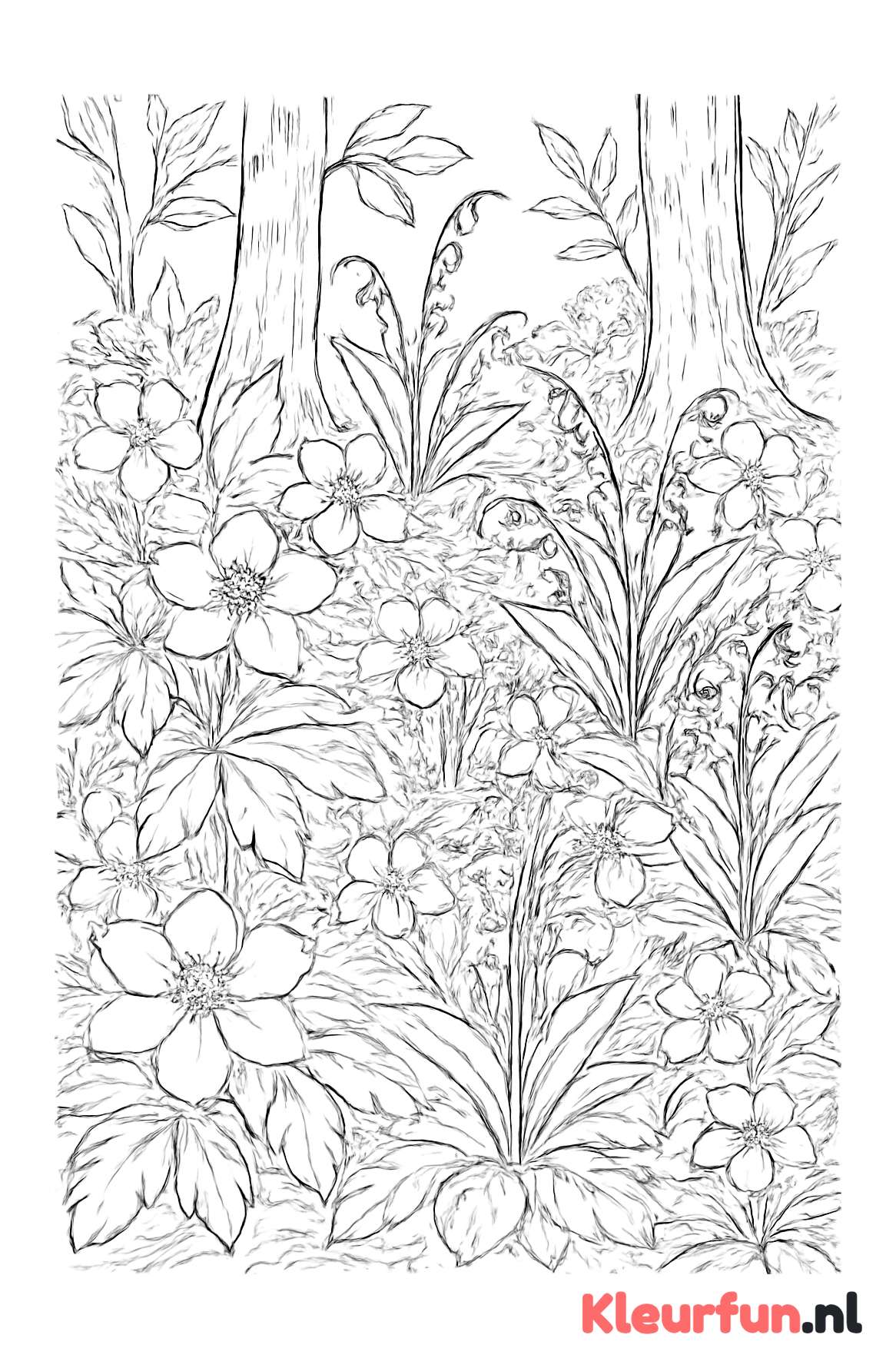 Bloemen op Bosvloer