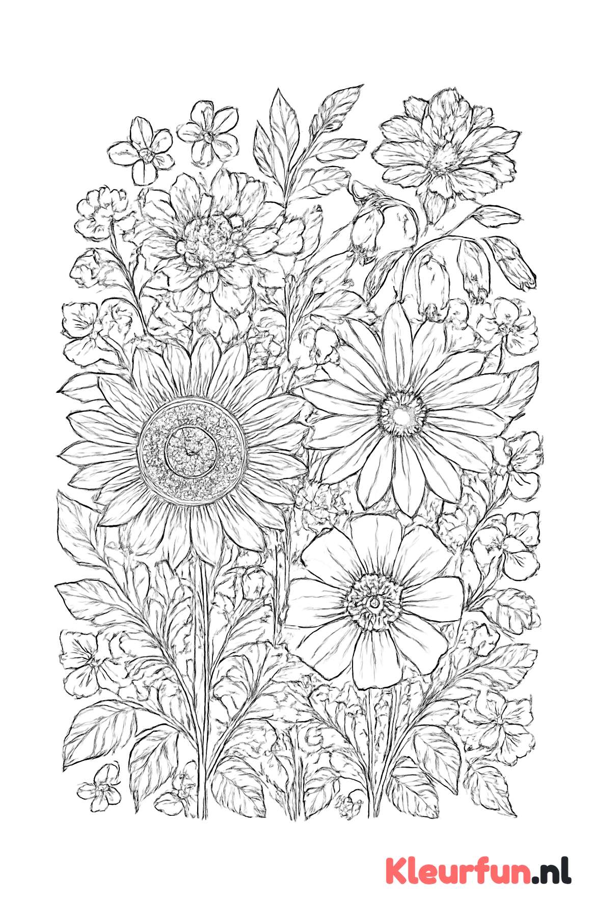 Gedetailleerd veld met bloemen