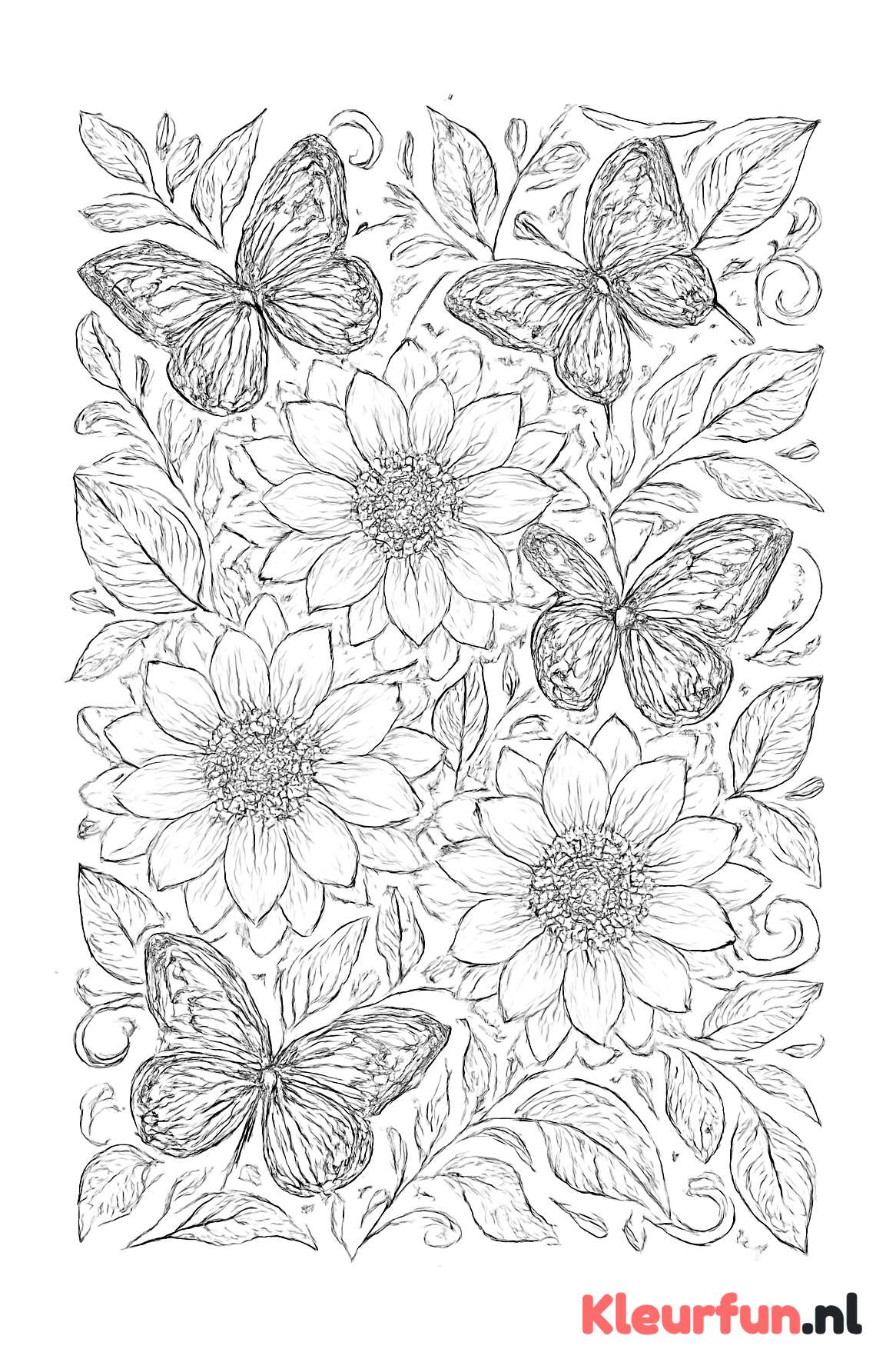 Overvloed aan bloemen en vlinders