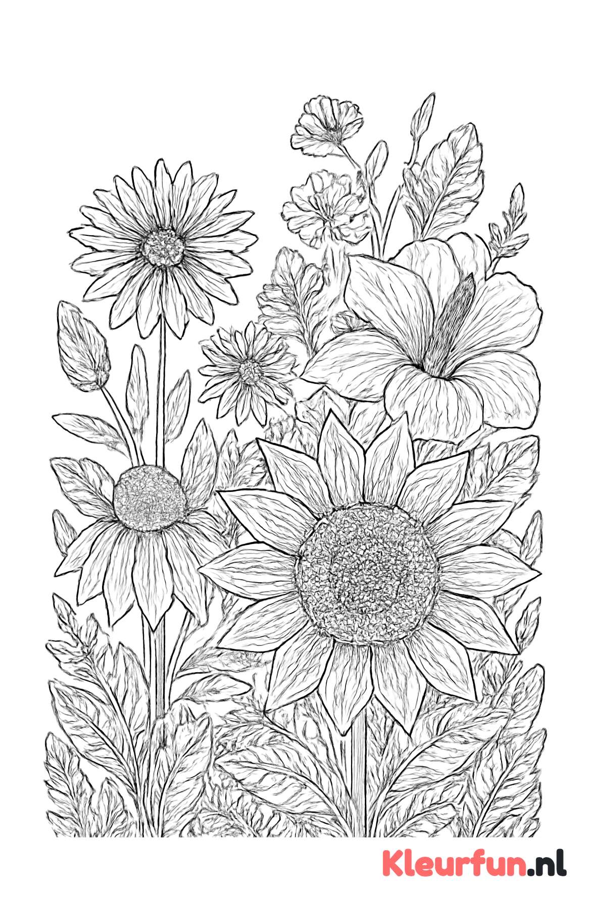 Wilde tuin met diverse bloemen