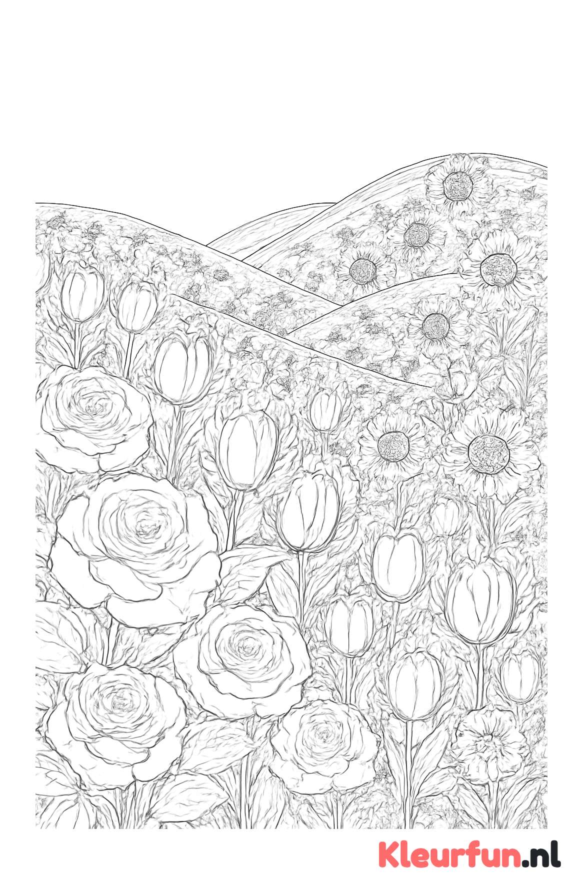Uitgestrekt bloemenlandschap met diverse bloemsoorten