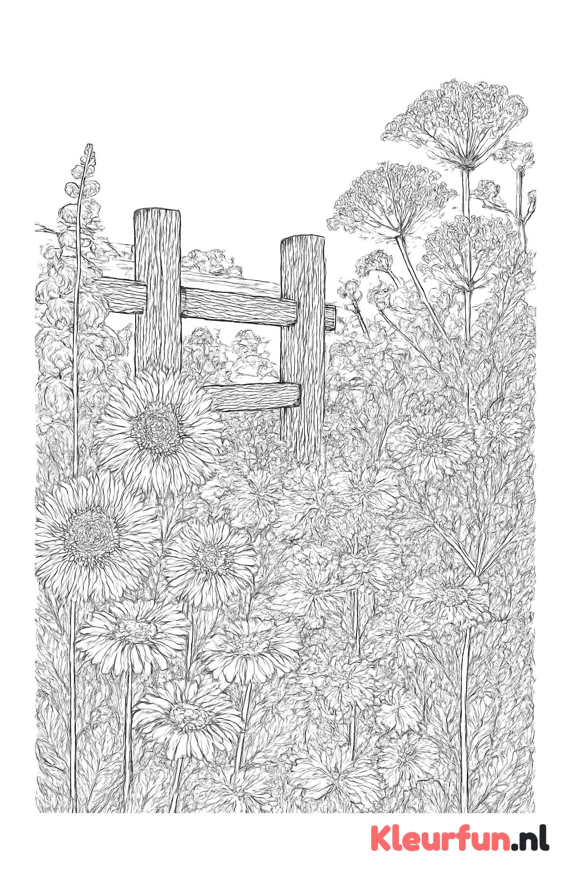 Wilde bloemenlandschap bij een houten hek