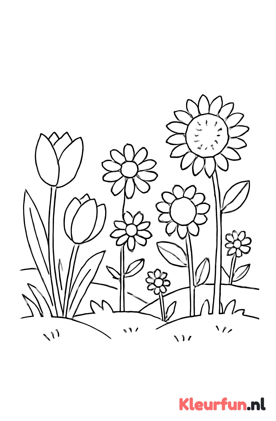 Bloemenveld met grote bloemen
