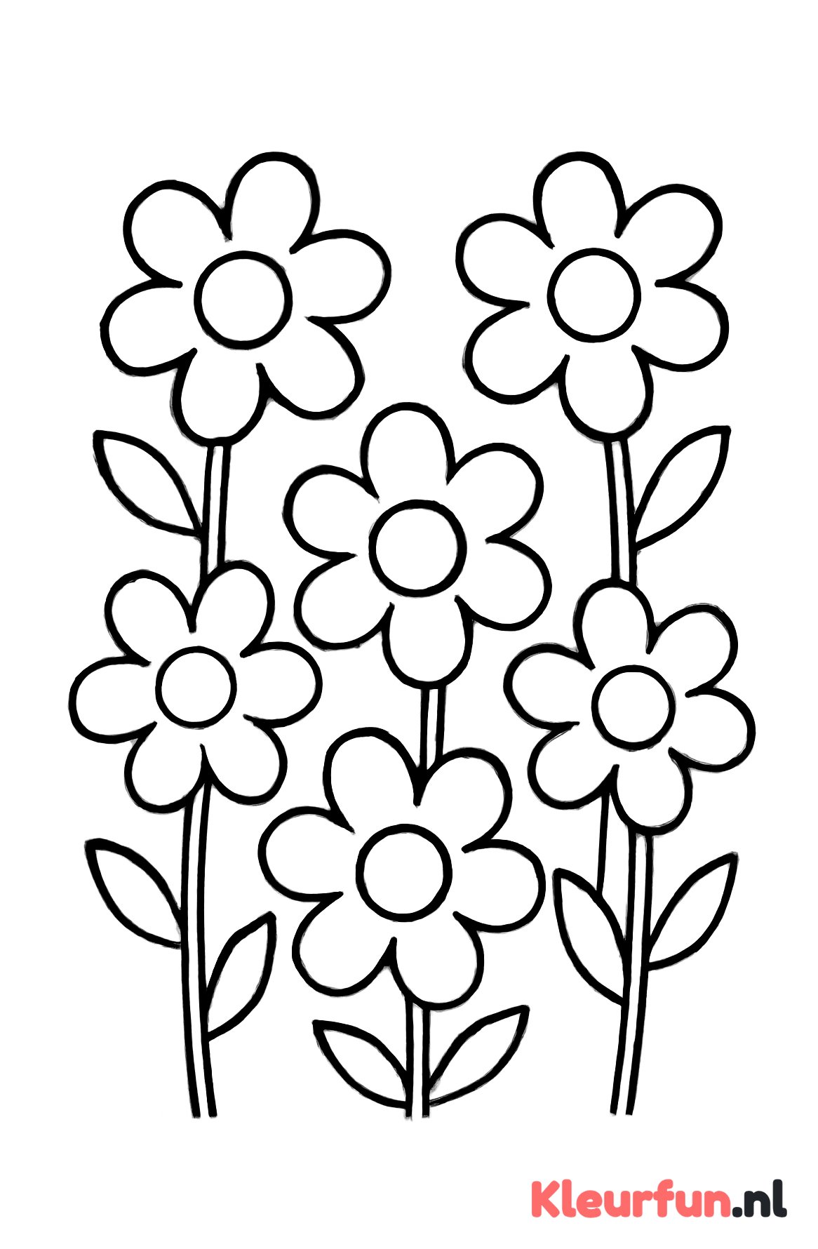 Bloemenveld uitvoering