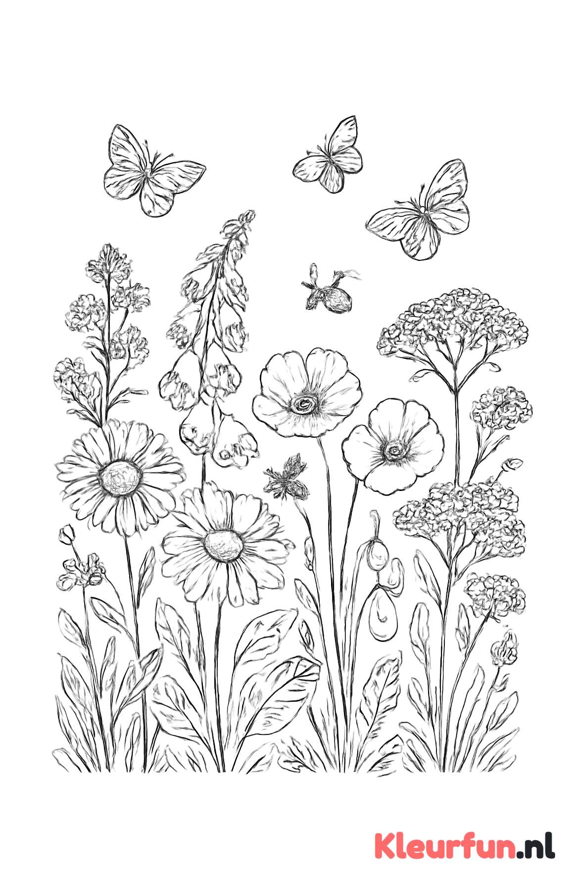 Bloemenweide met insecten