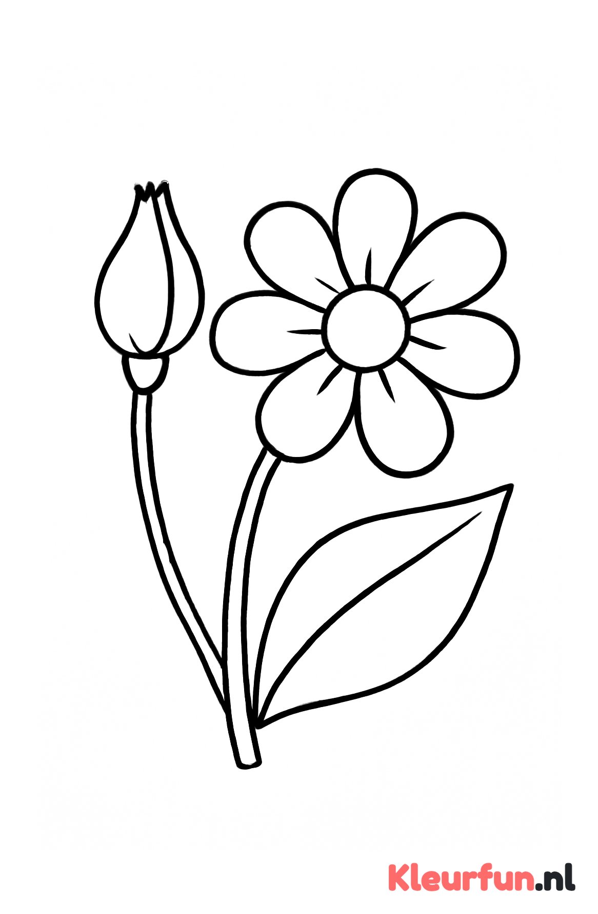 Bloemknop en bloemblad