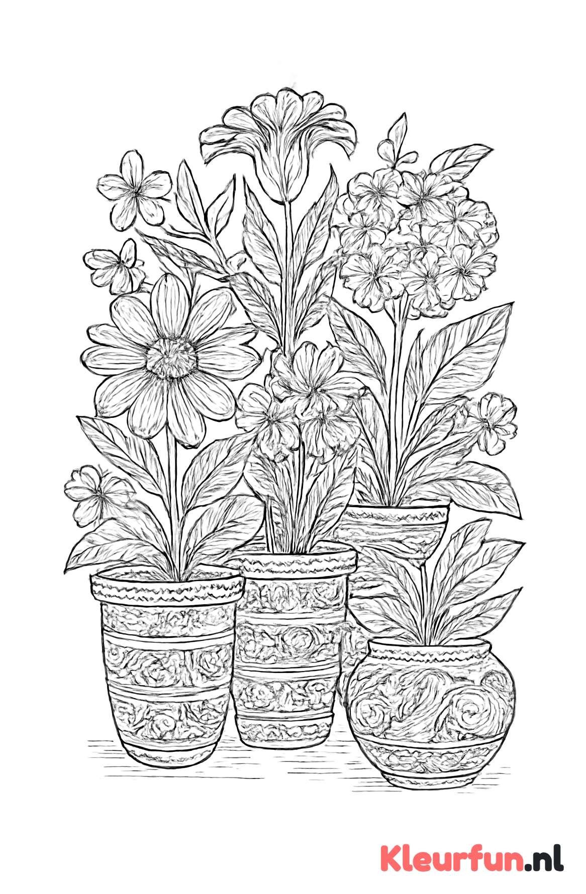 Bloempotten met diverse planten en bloemen
