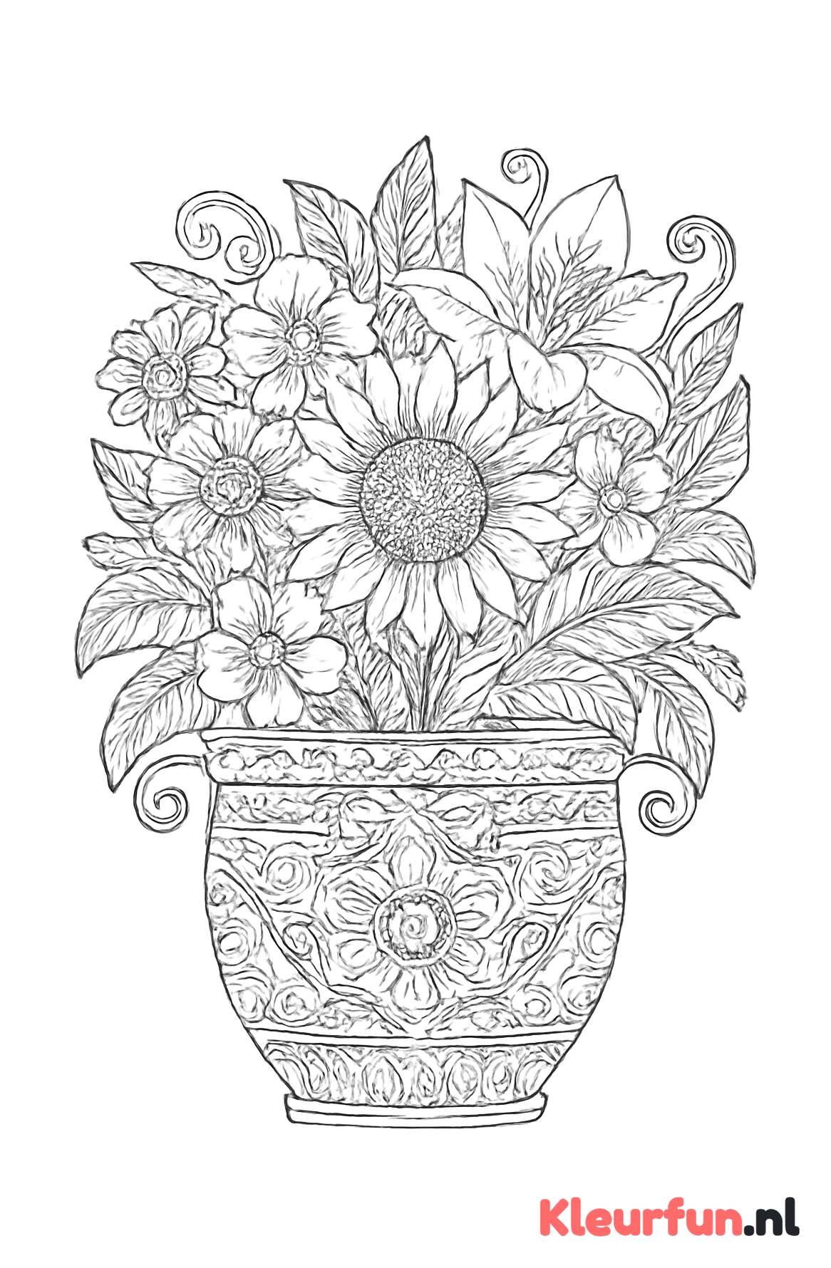 Bloempot met diverse planten en bloemen