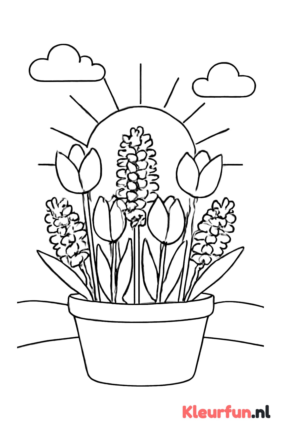 Bloempot met voorjaarsbloemen en zon