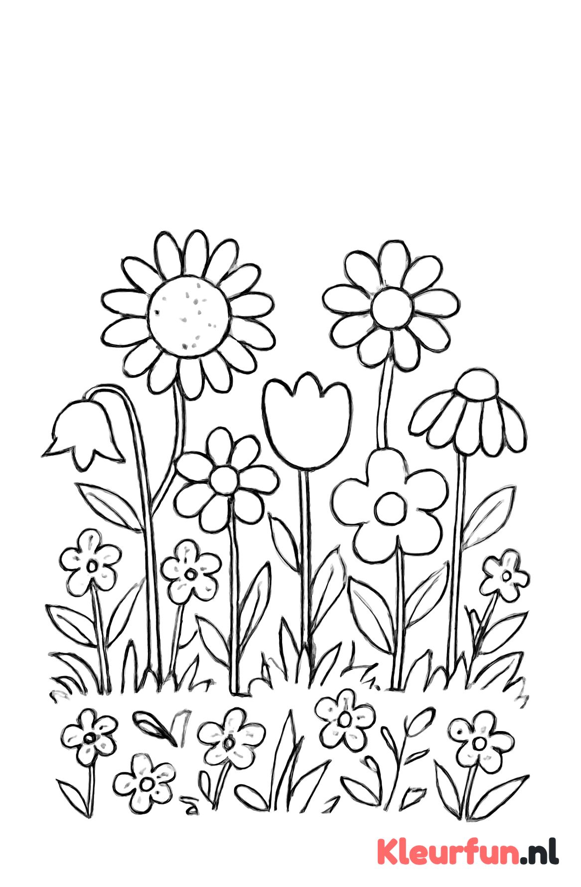 Bloemrijk Veld