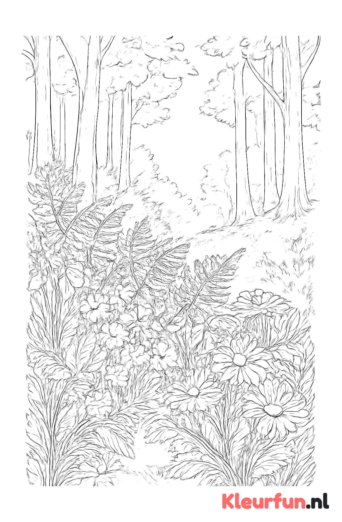 Bloemrijke richel in het bos