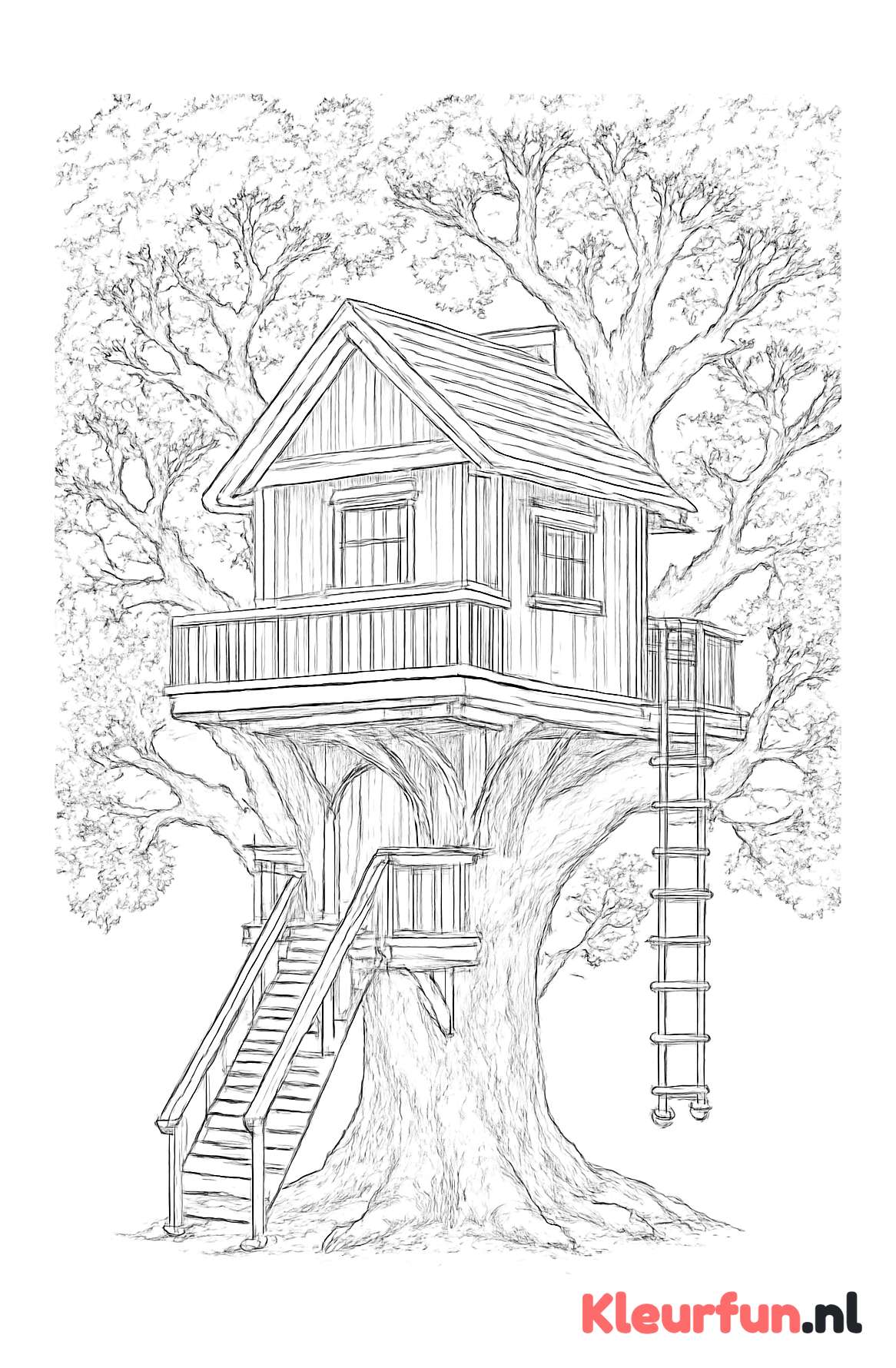 Boomhut in oude eikenboom
