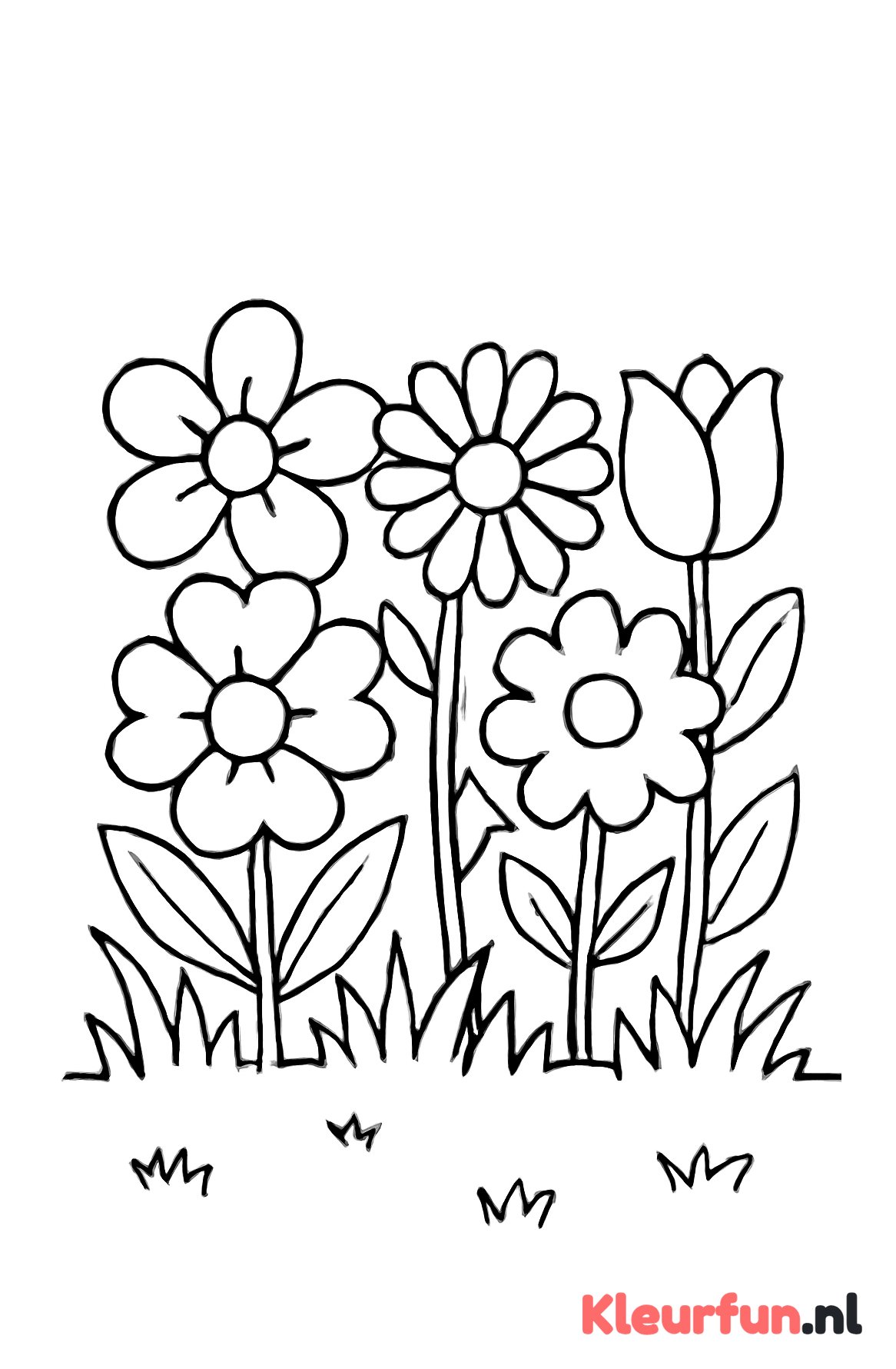 Bos bloemen met gras achtergrond