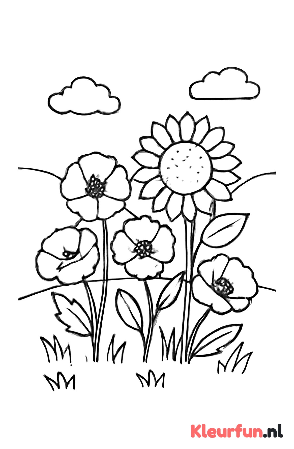 Bos bloemen in de natuur