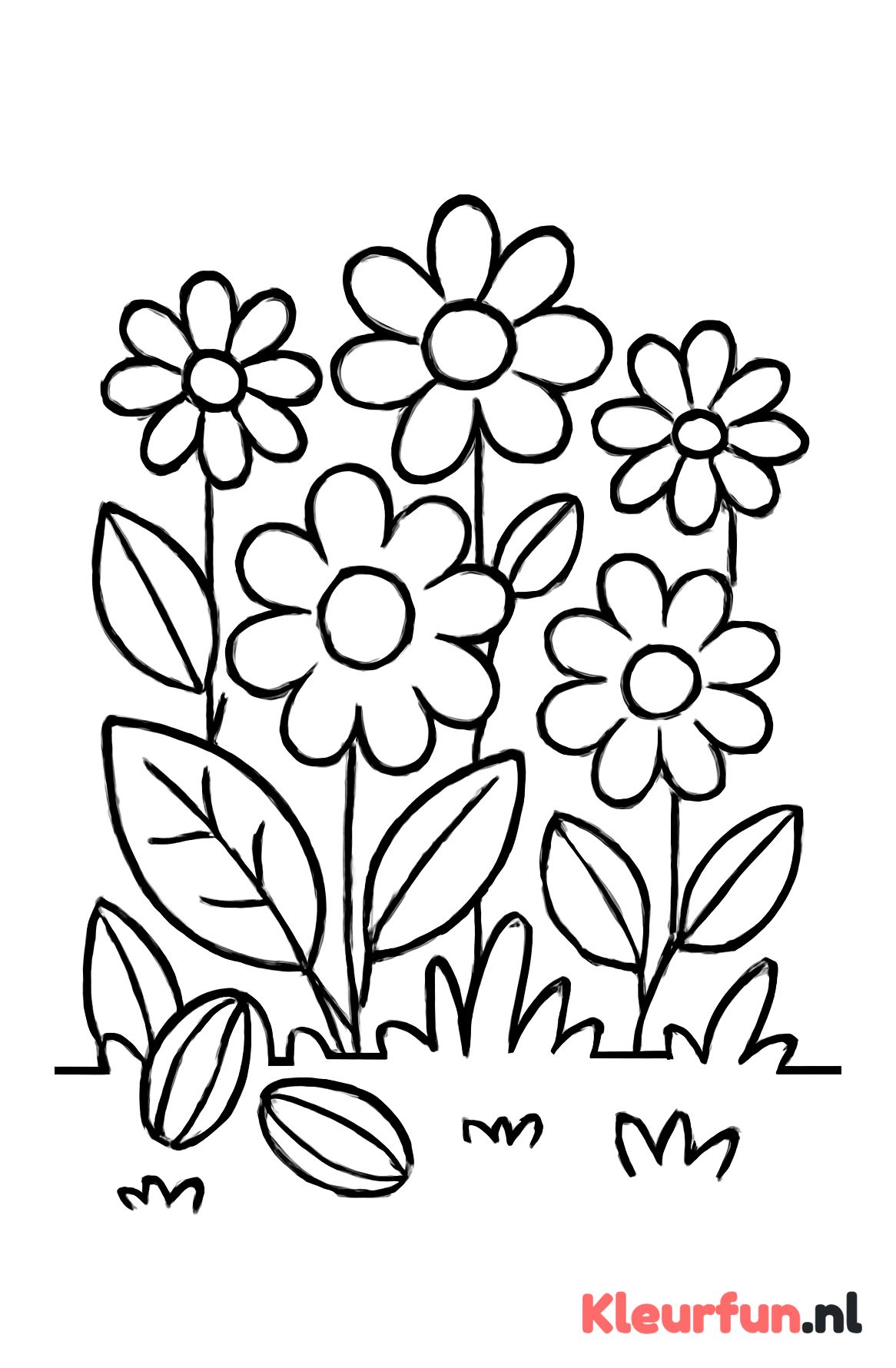Bos bloemen met zaden en bladeren