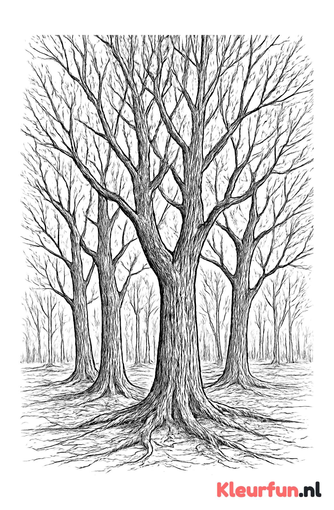 Groep kale bomen in boslandschap