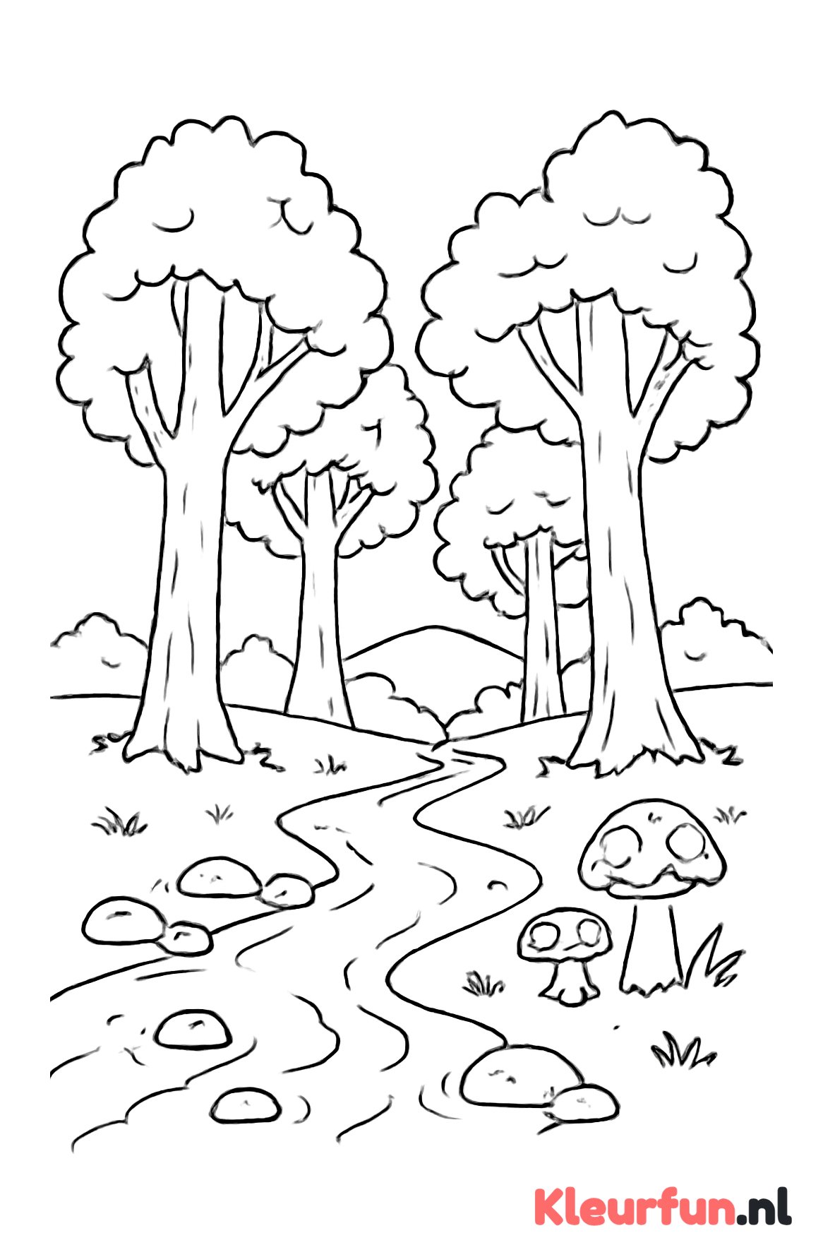 Bos met beekje en paddenstoelen