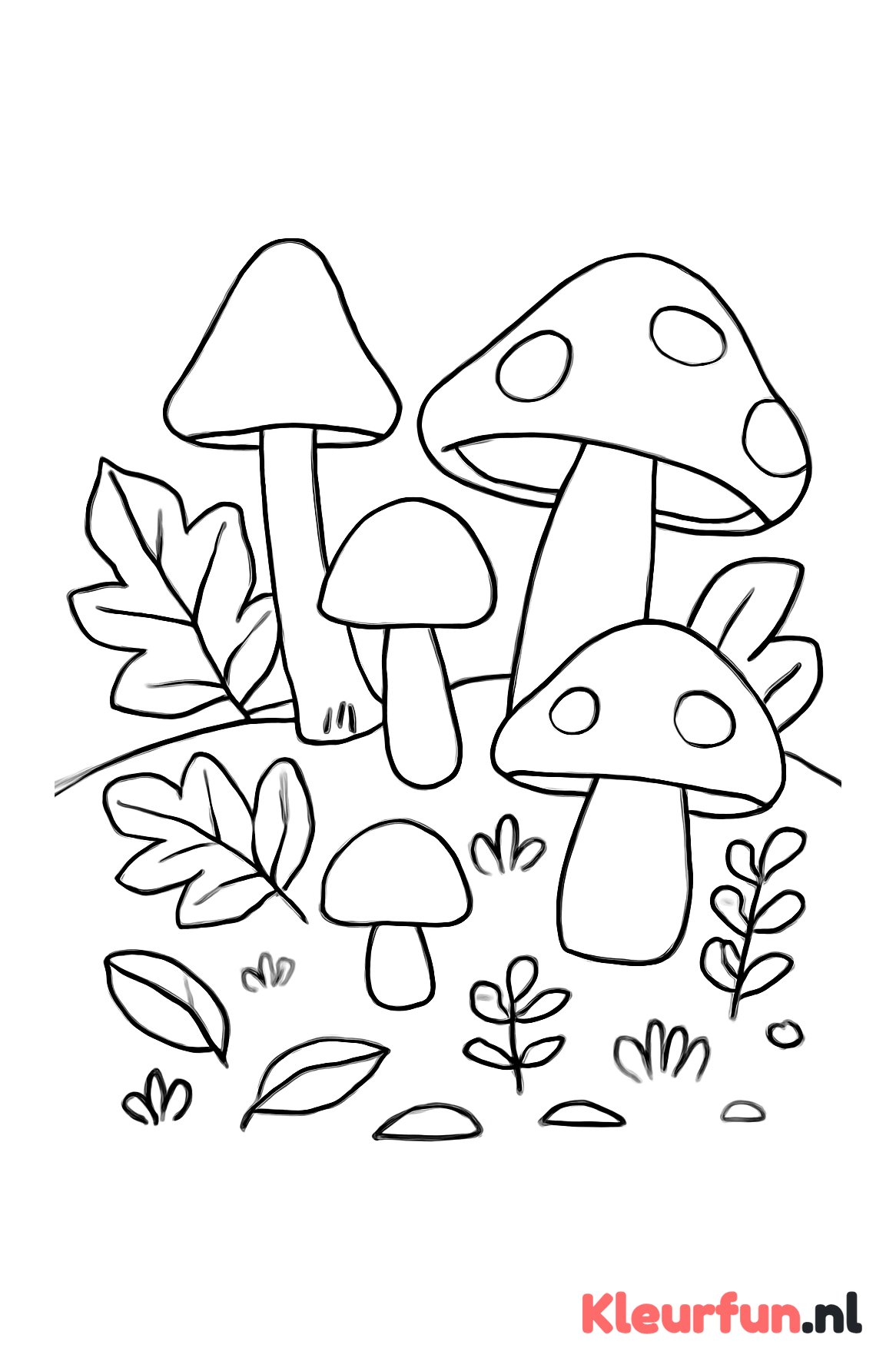 Bosbodem met paddenstoelen en bladeren