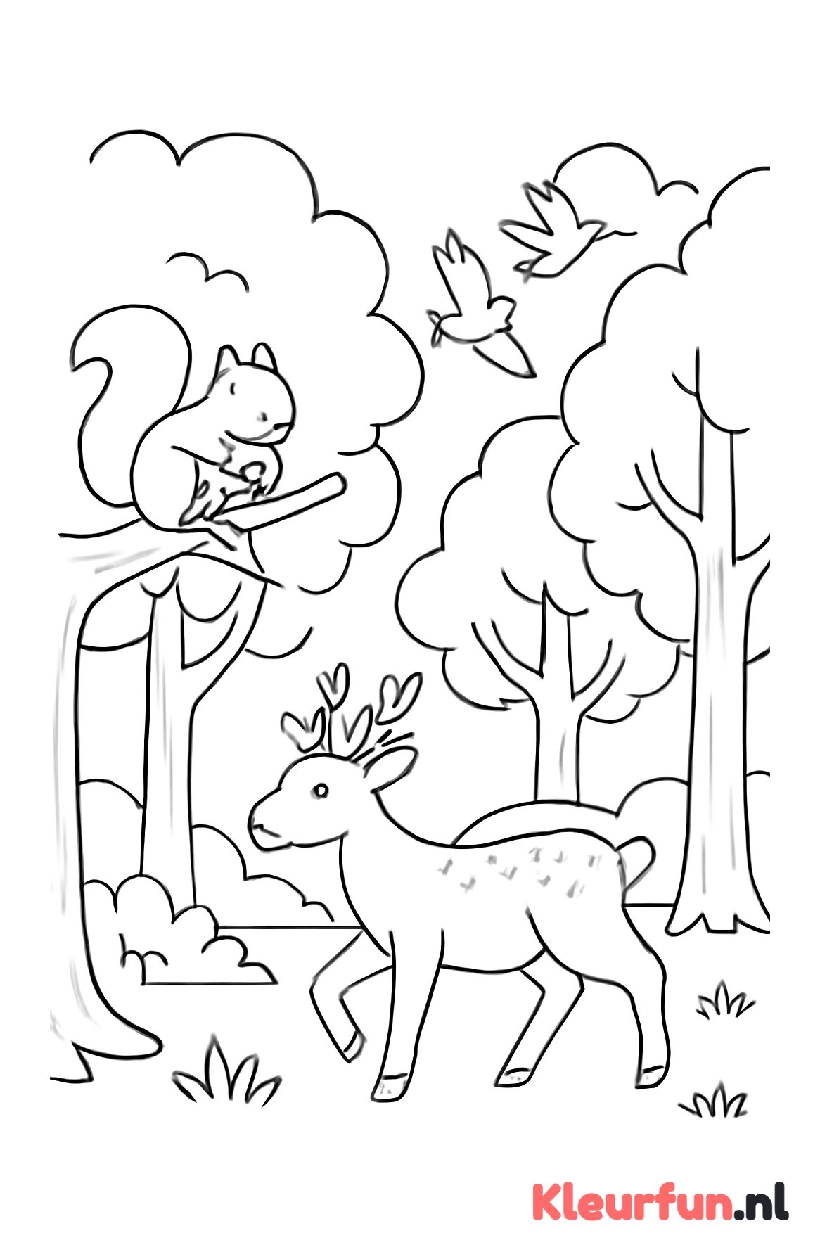 Bos scène met dieren