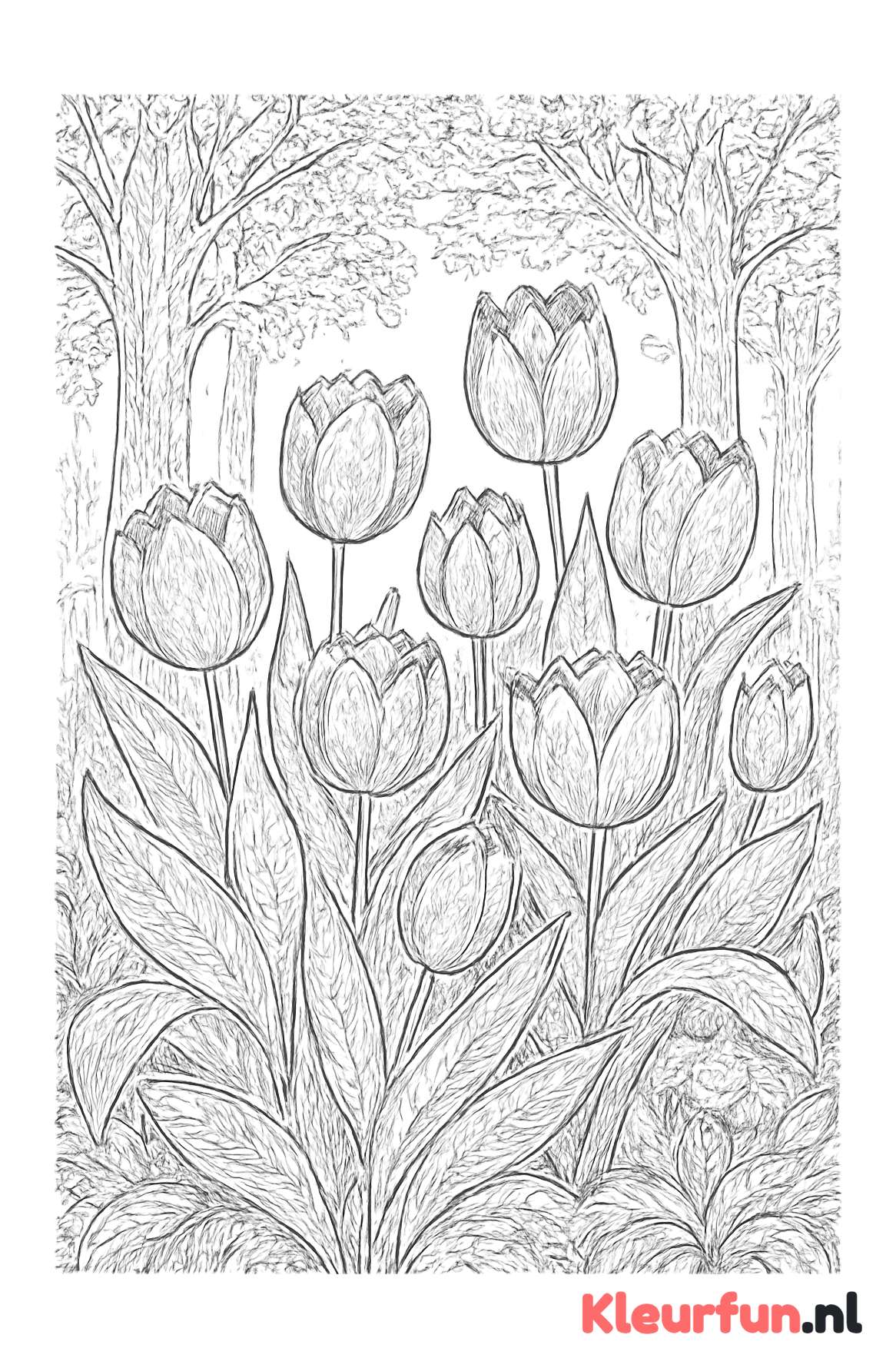 Bos vol bloeiende tulpen