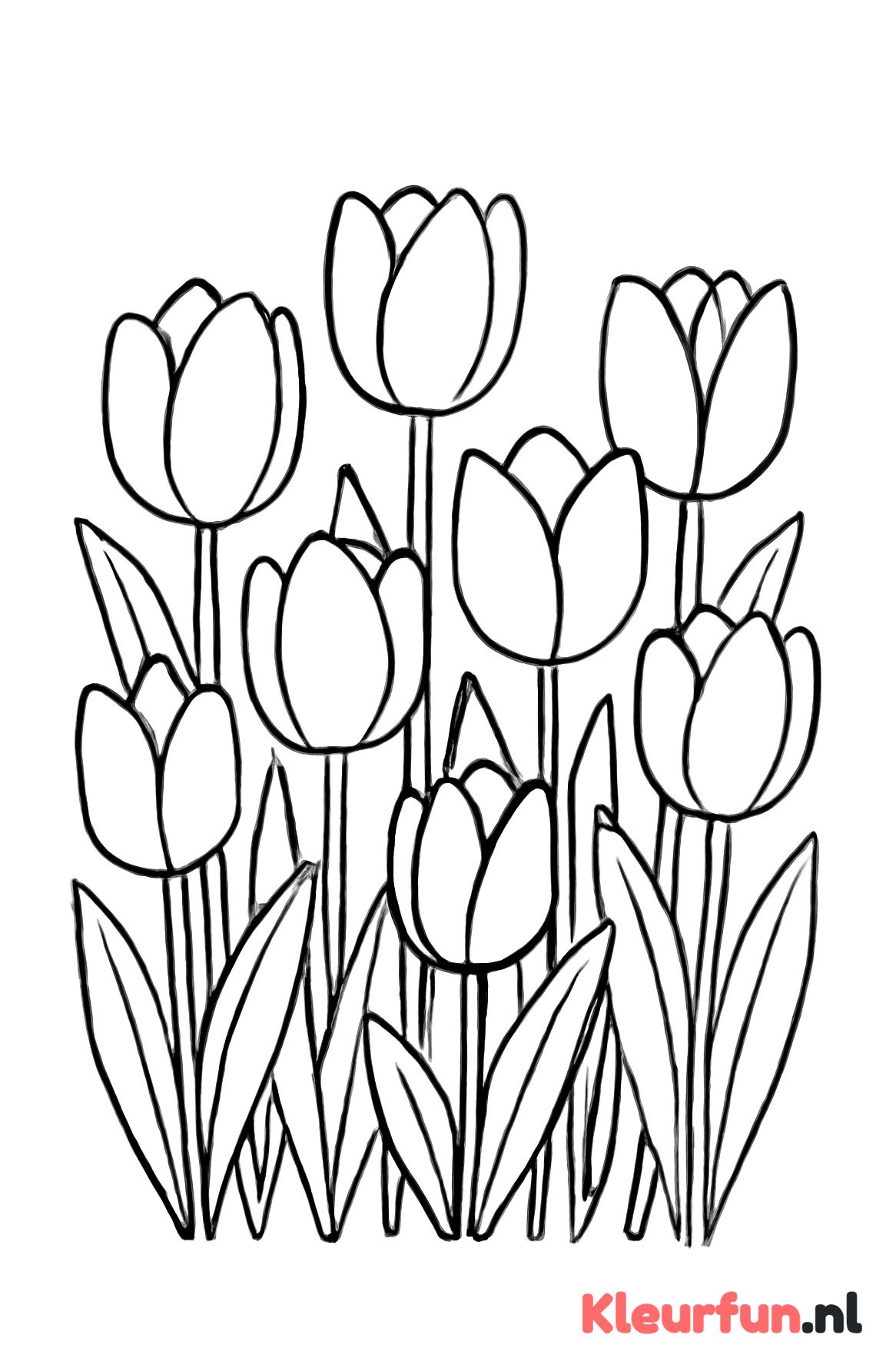 Bos met tulpen