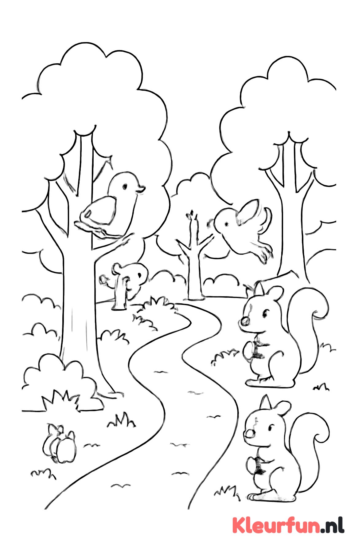 Wandelpad in het bos met dieren