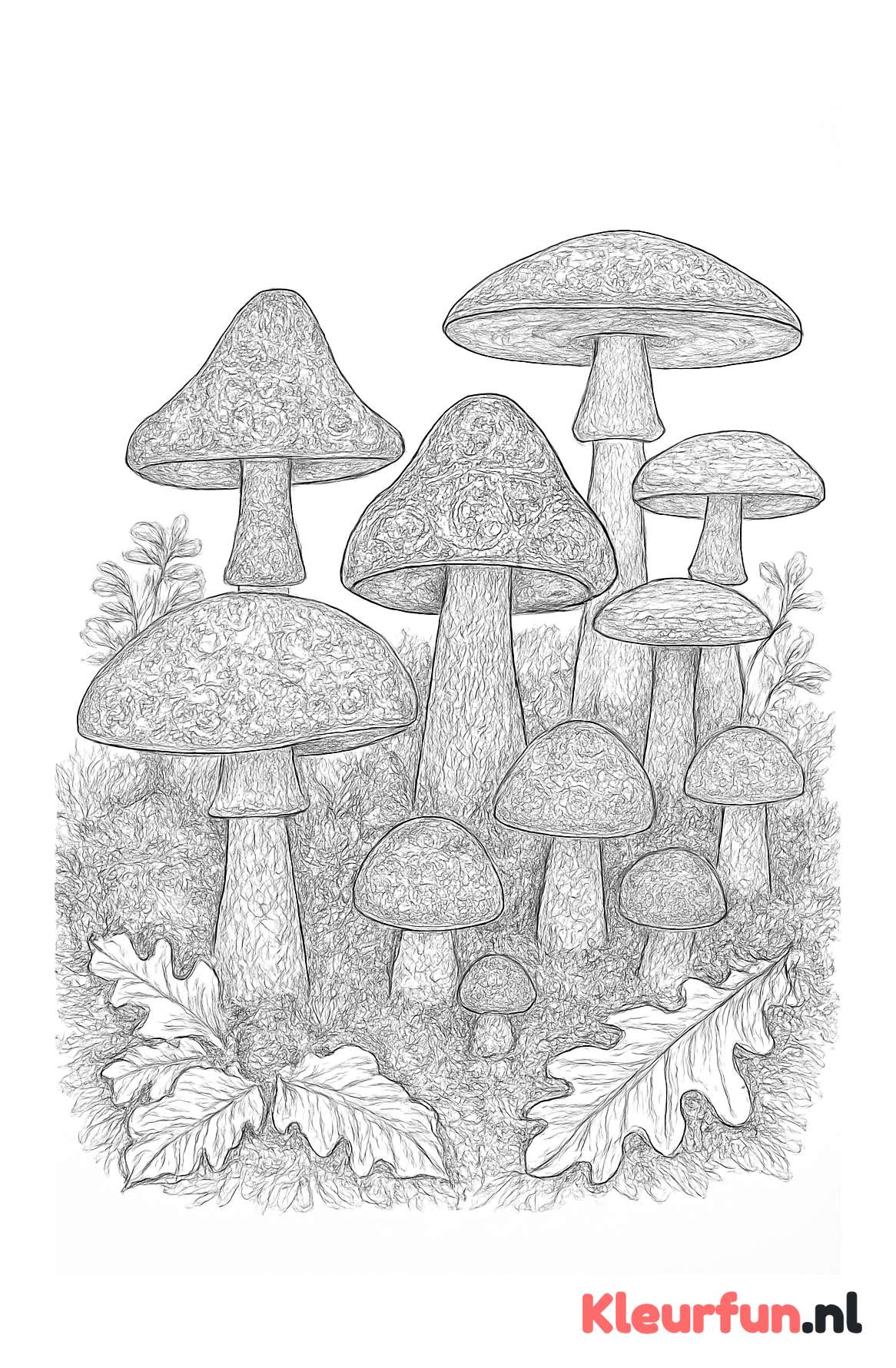 Bosgrond paddenstoelen met patronen