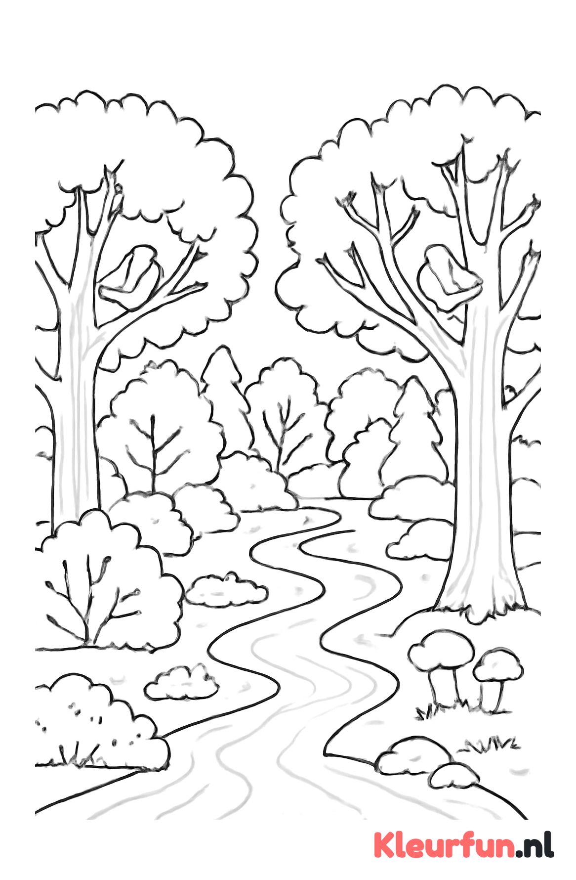 Boslandschap met beekje