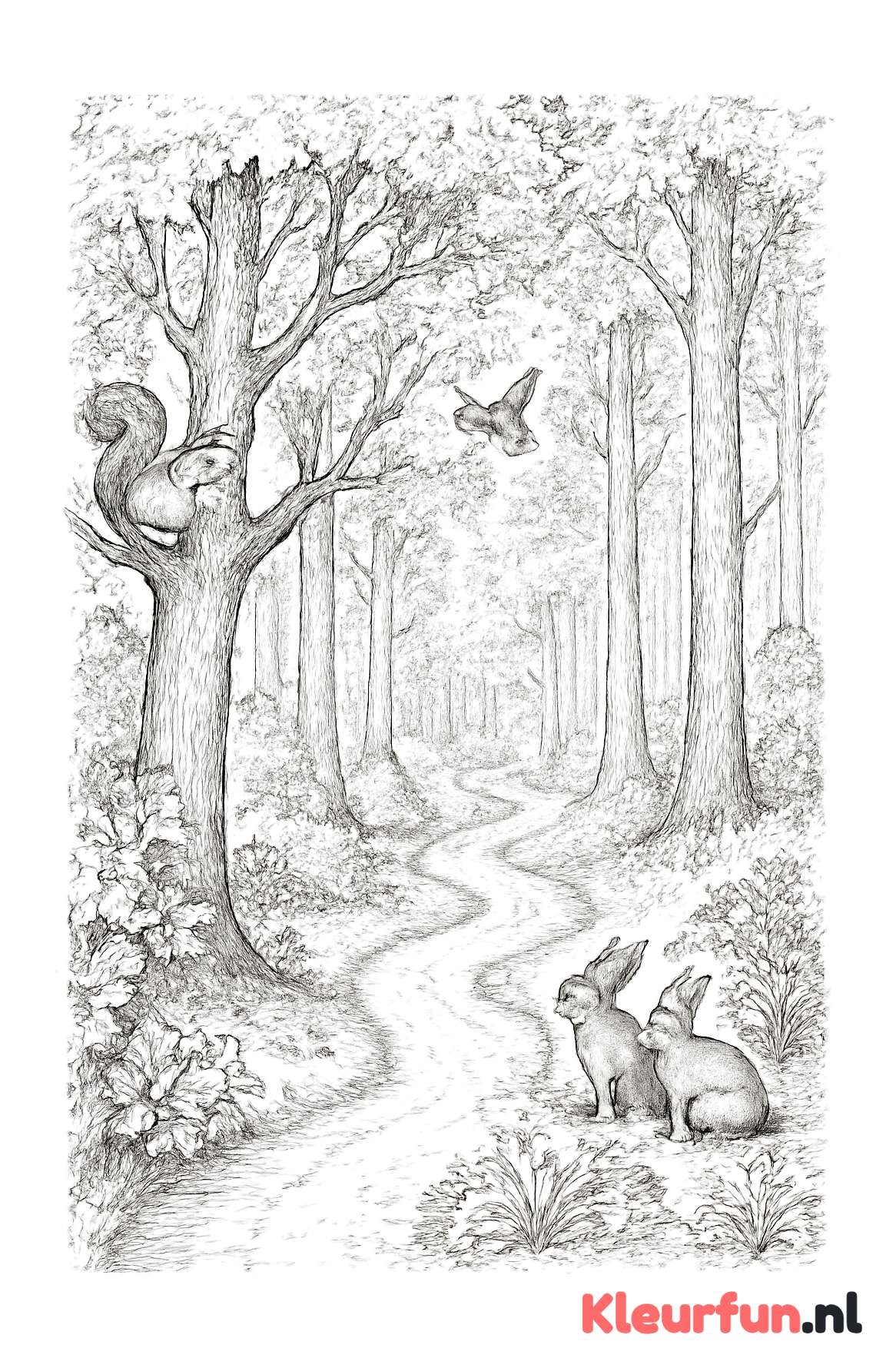 Boslandschap met pad en dieren