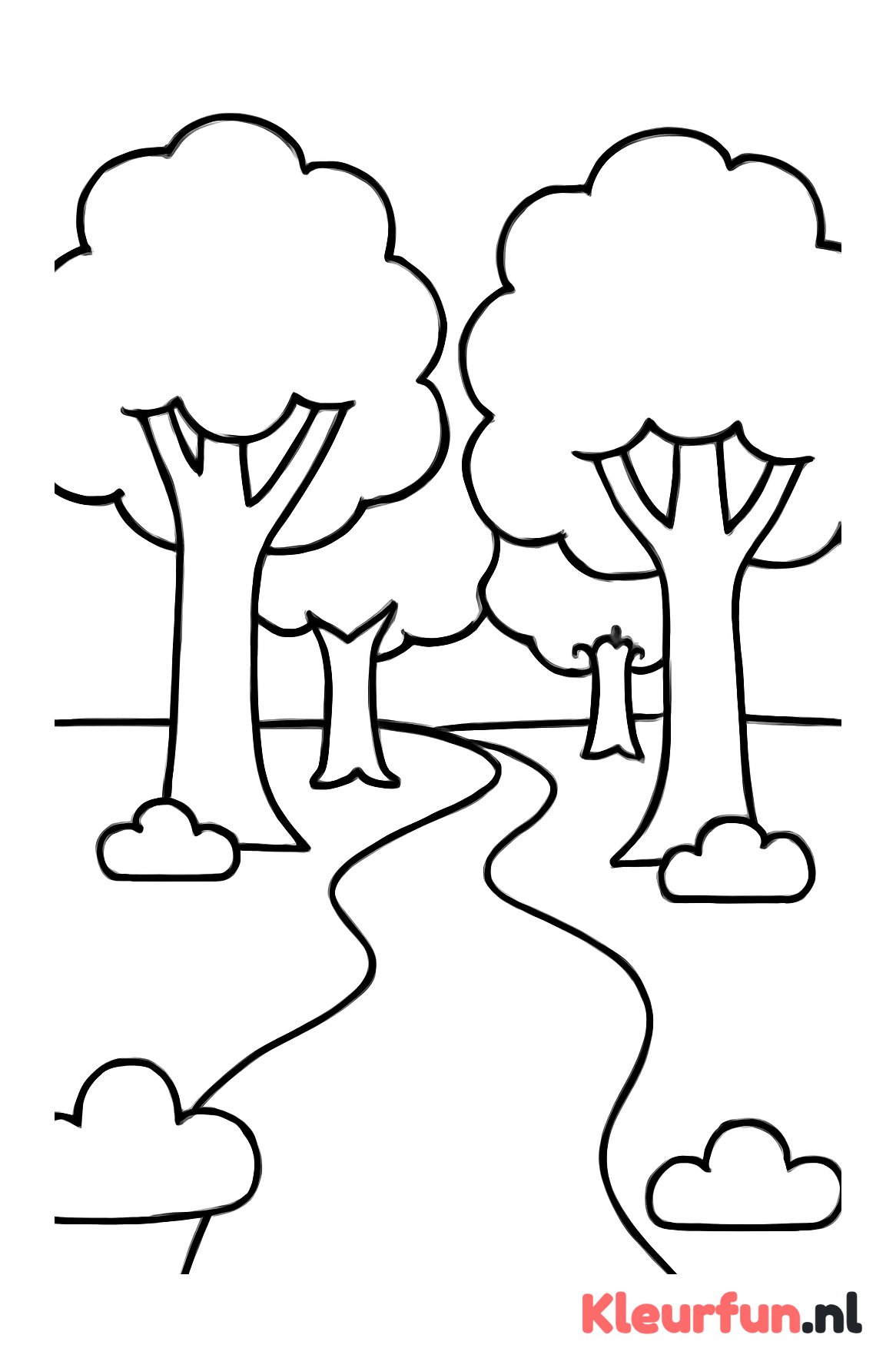Bospad met grote bomen
