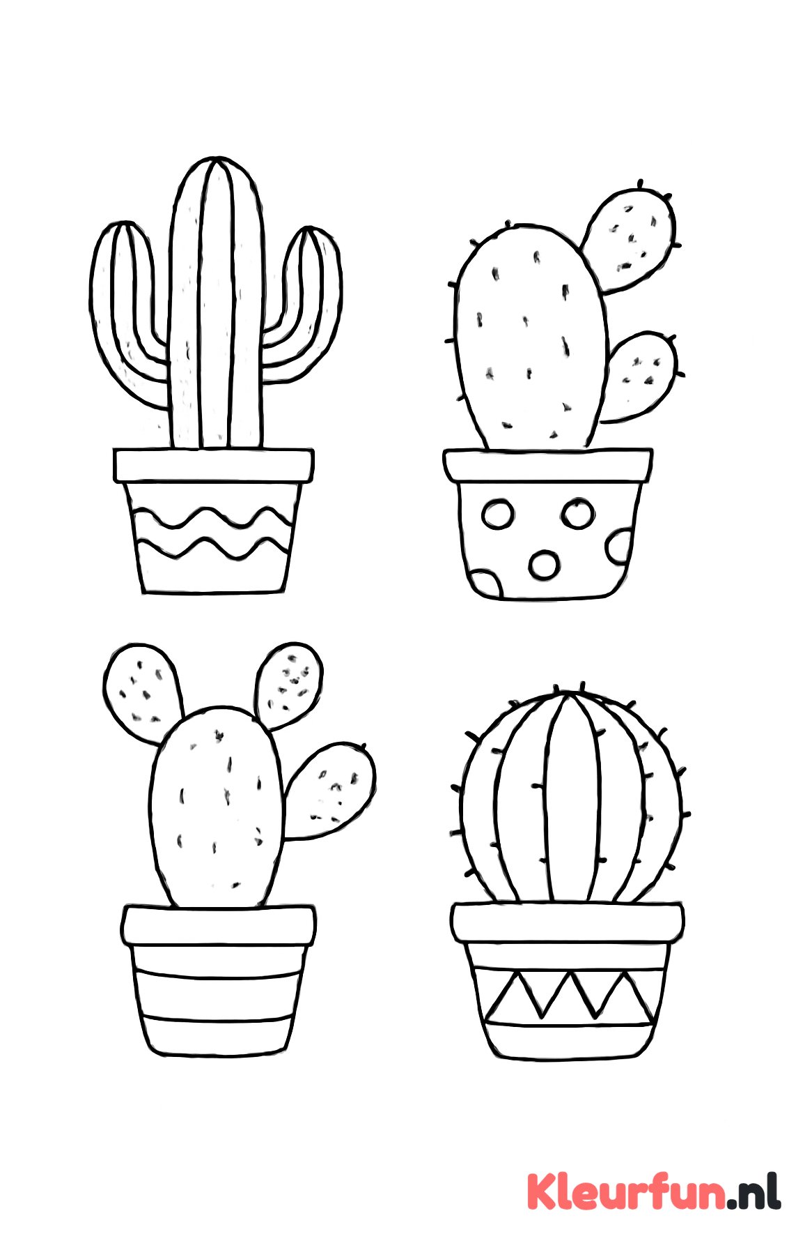 Cactussen in potten