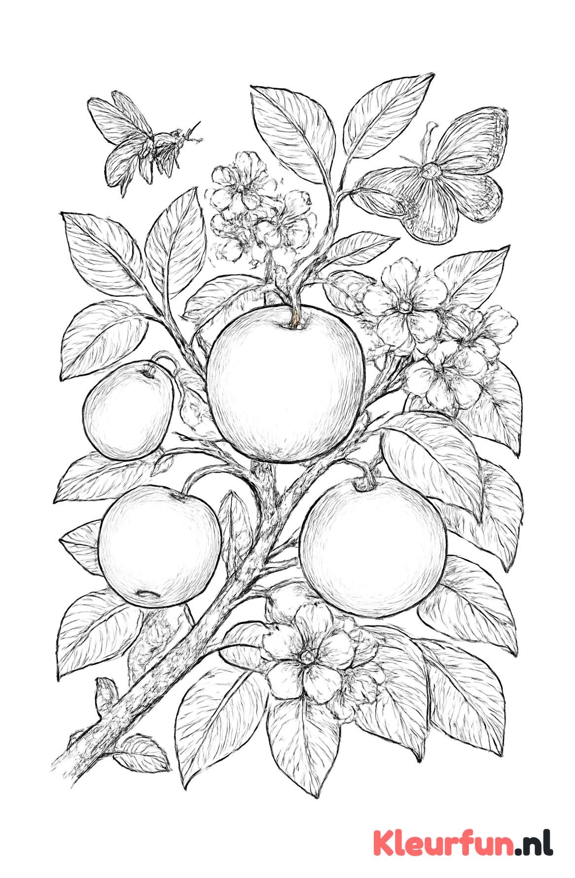 Close-up appelboom tak met appels en insecten