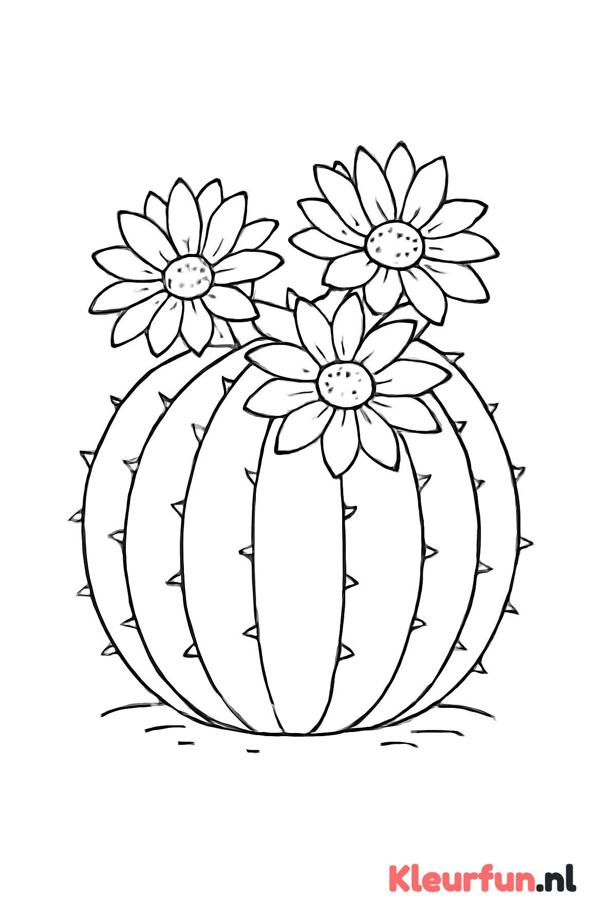 Close-up bolcactus