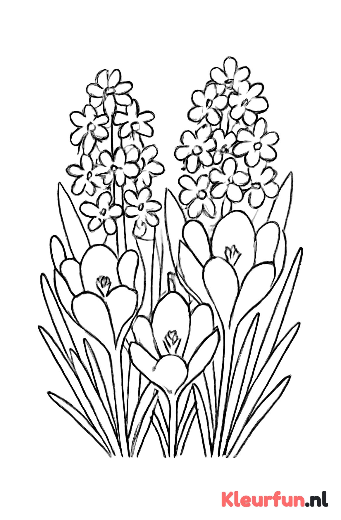 Close-up lente bloemen
