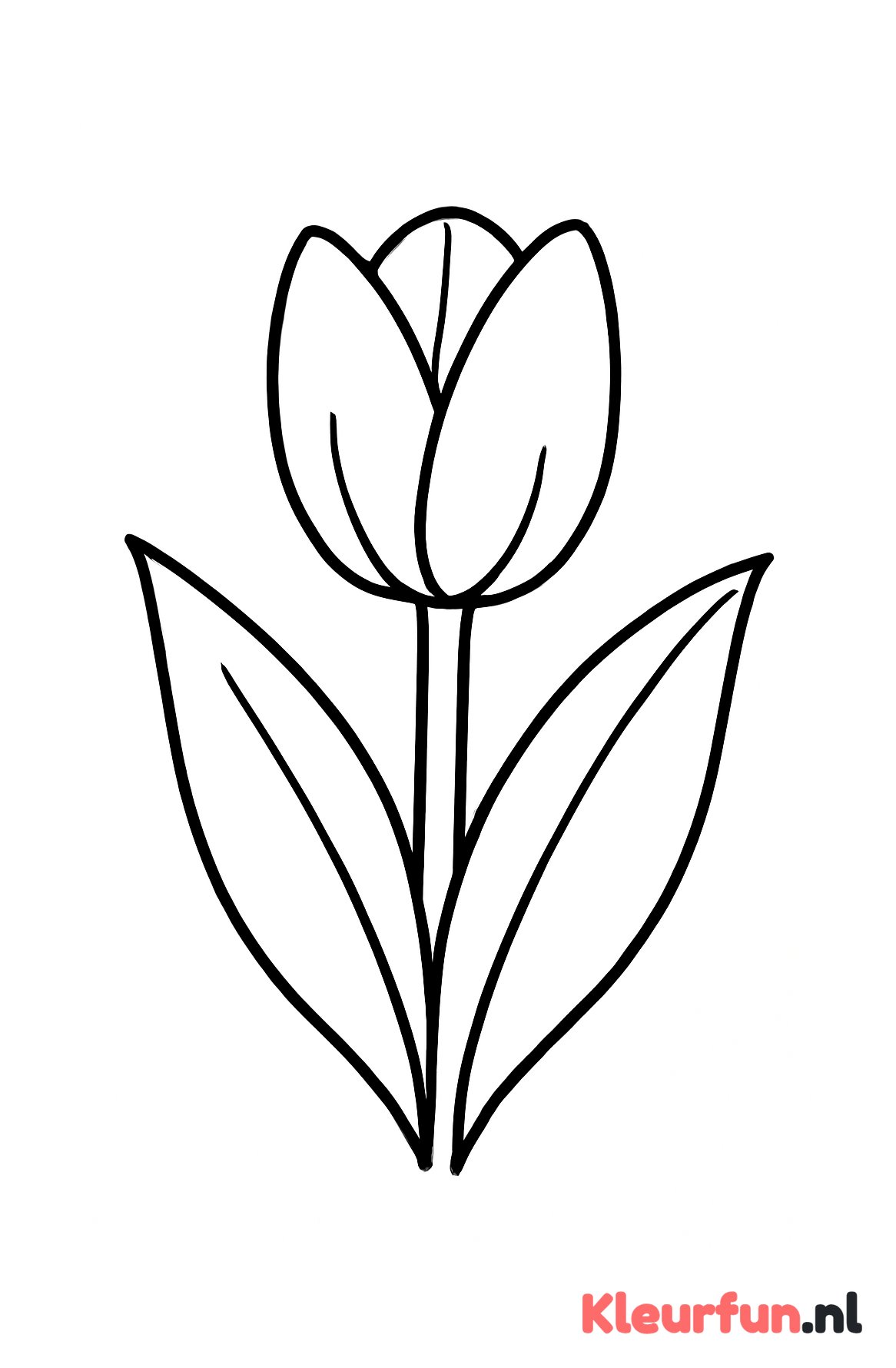Close-up van een tulp