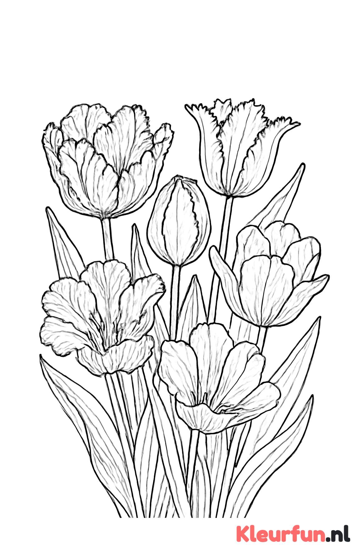 Close-up van tulpen
