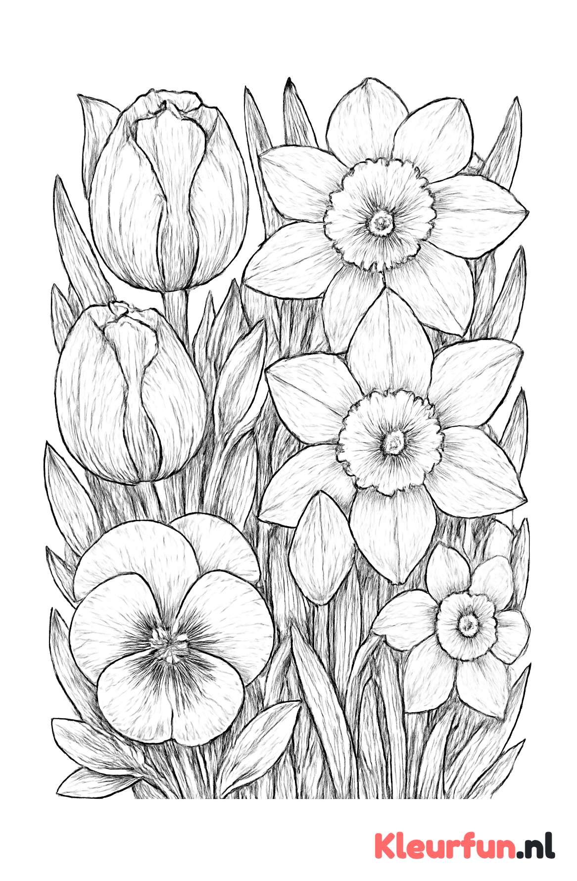 Close-up voorjaarsbloemen