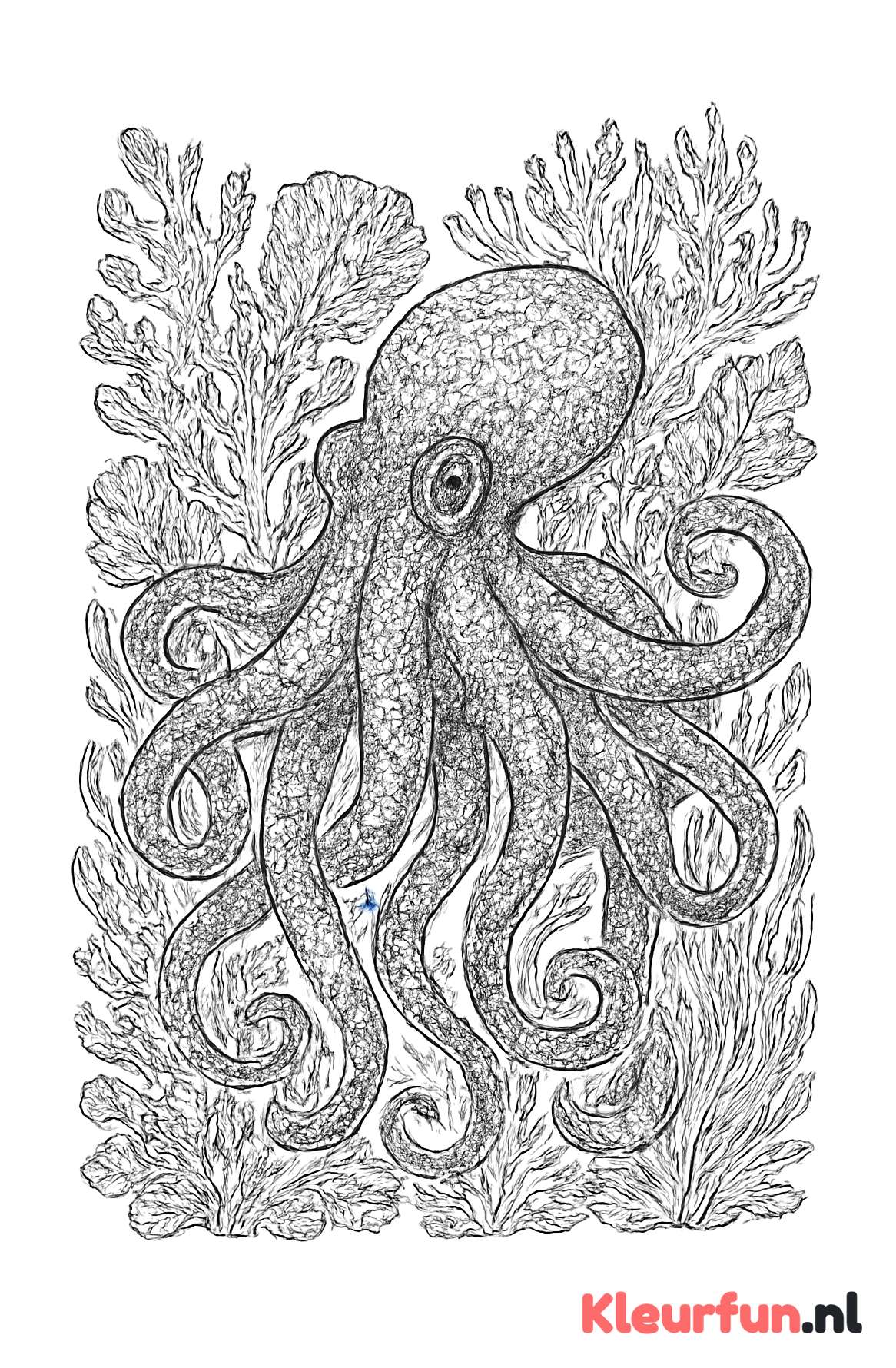 Complexe octopus in een koraalrif