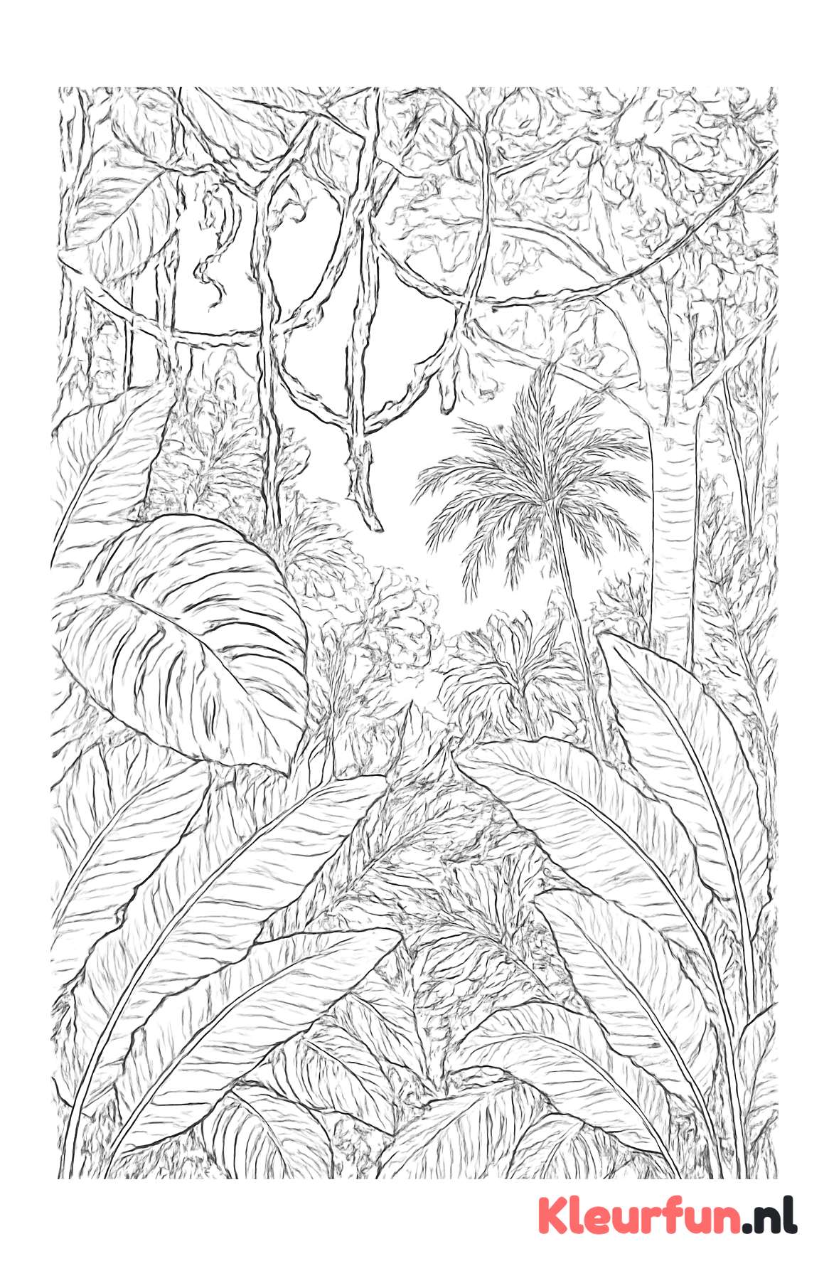Dicht jungle landschap