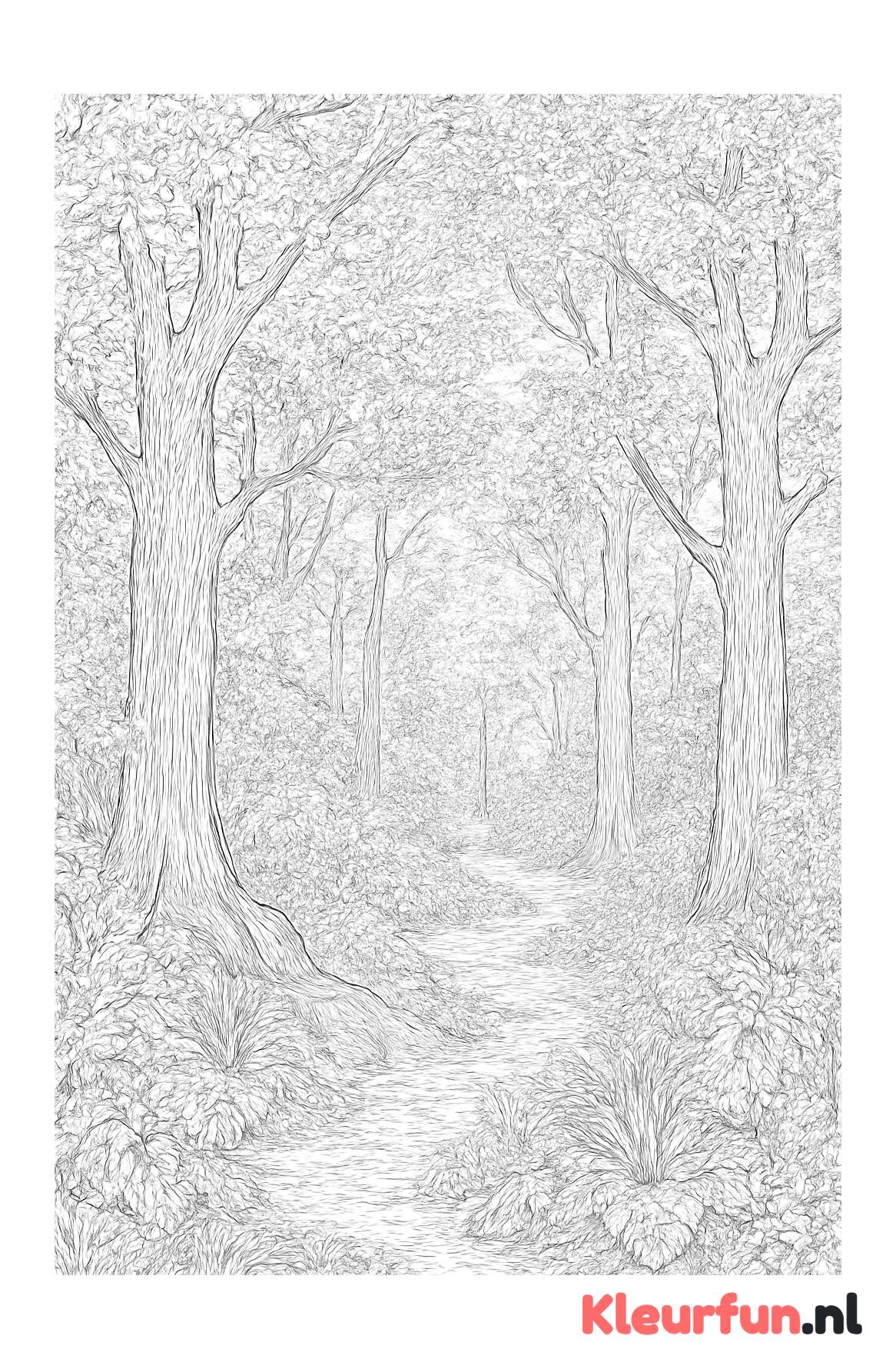 Diep Mysterieus Bos