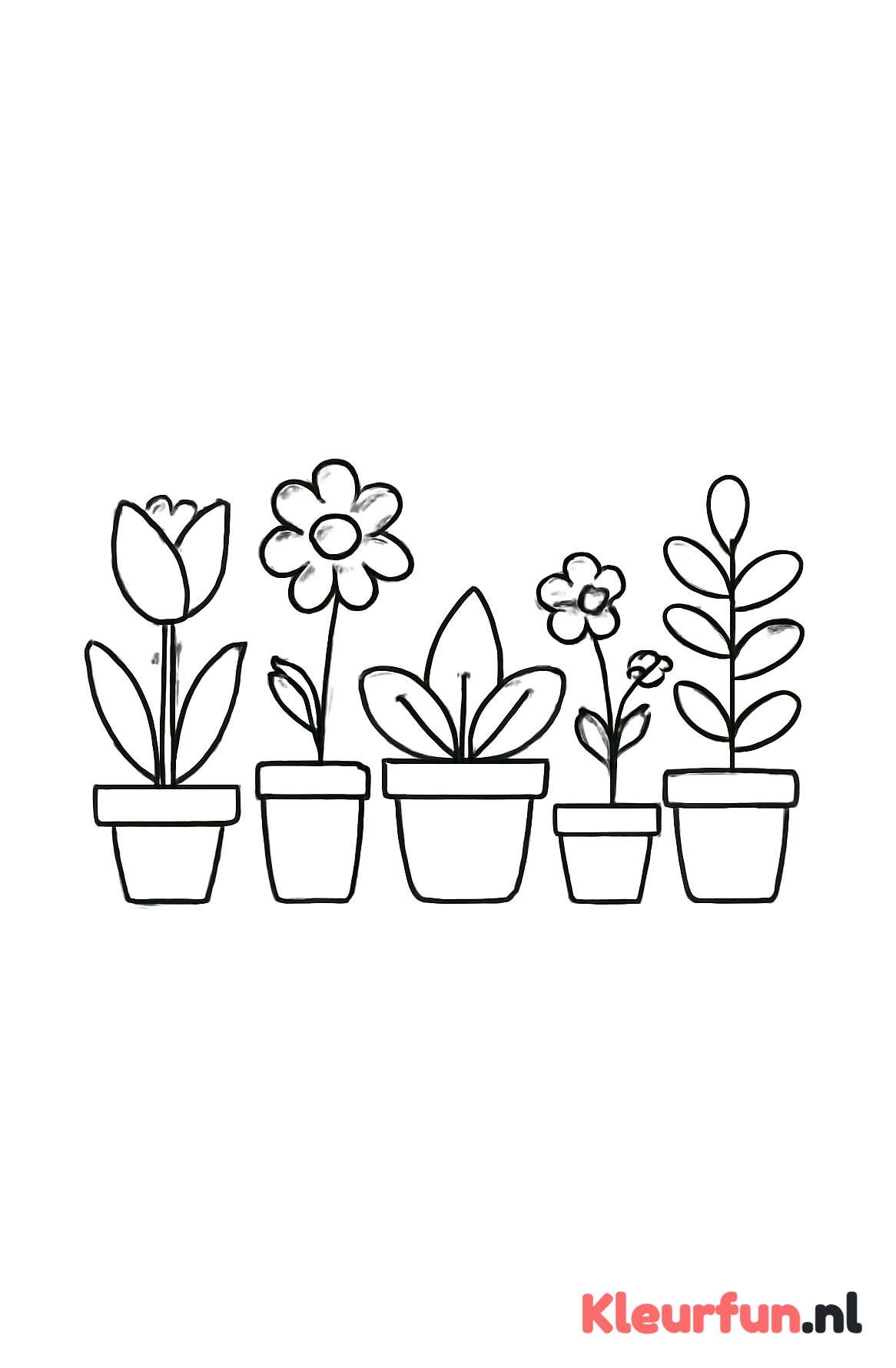 Diverse bloempotten met planten