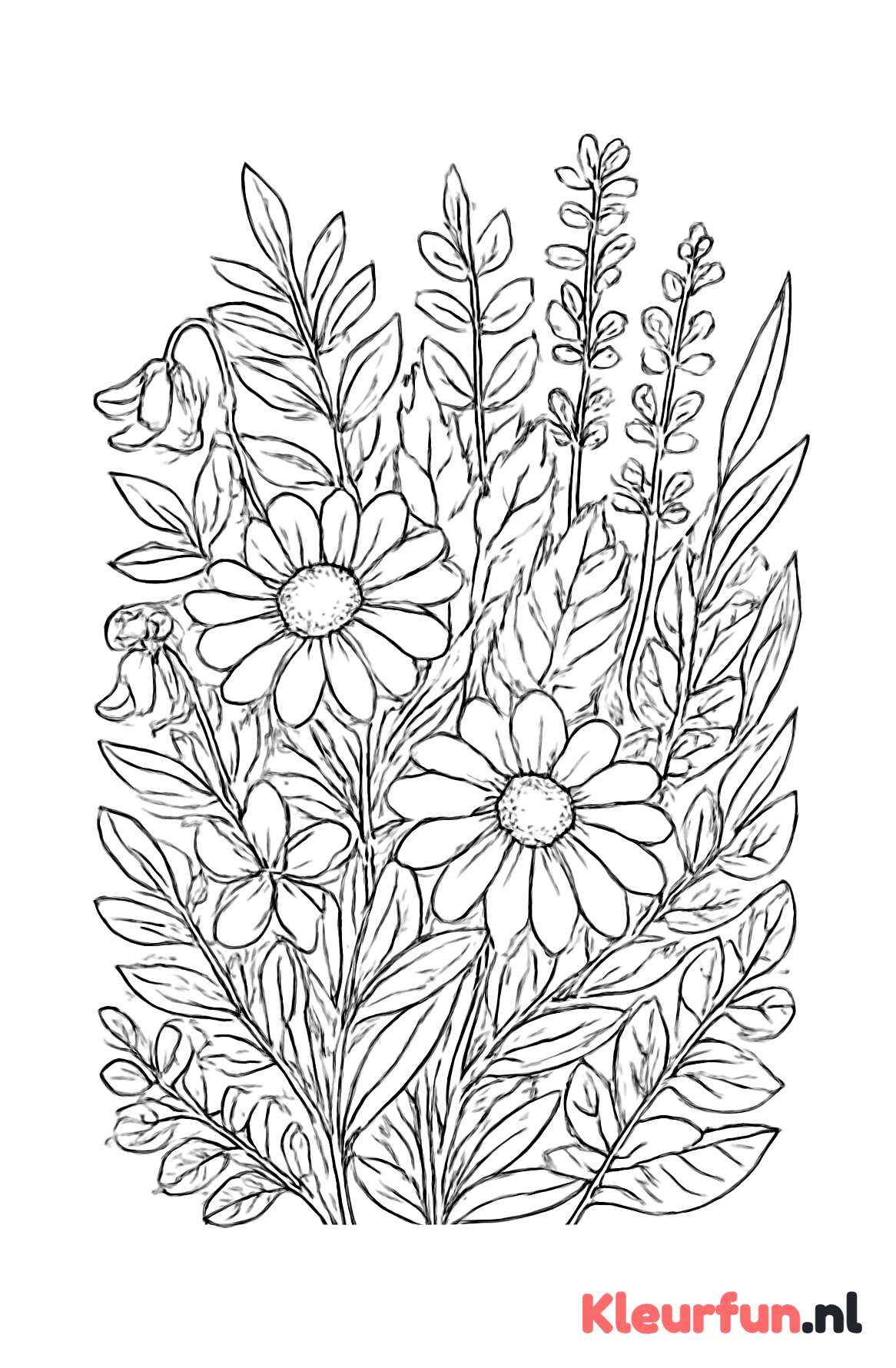 Diverse plantjes in natuurlijke omgeving