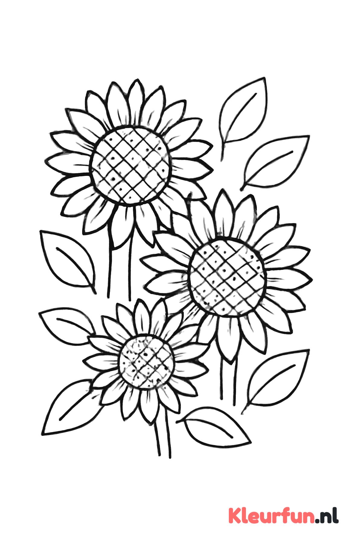 Diverse zonnebloemen met bladeren